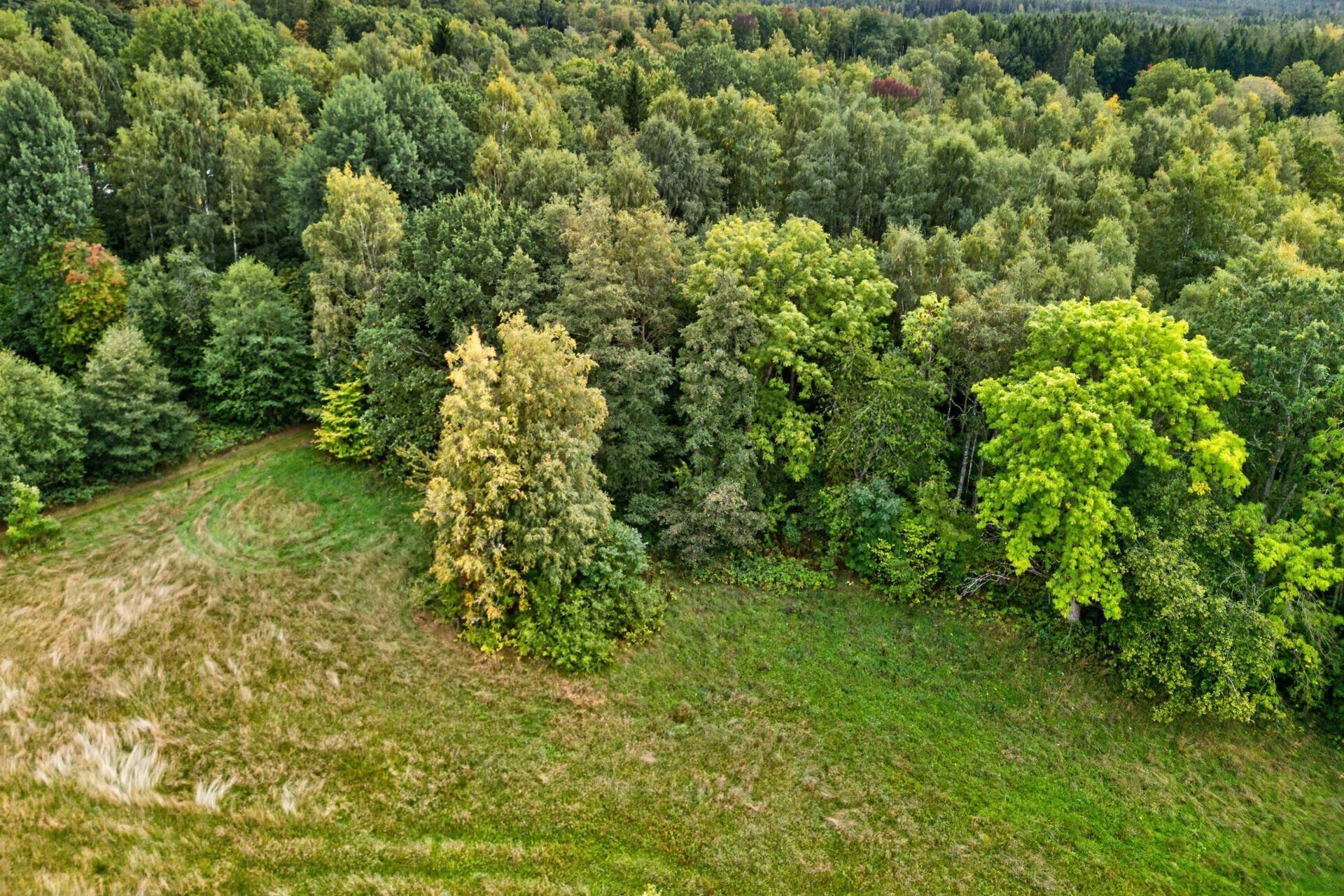 Hjo, Hjo kommun
