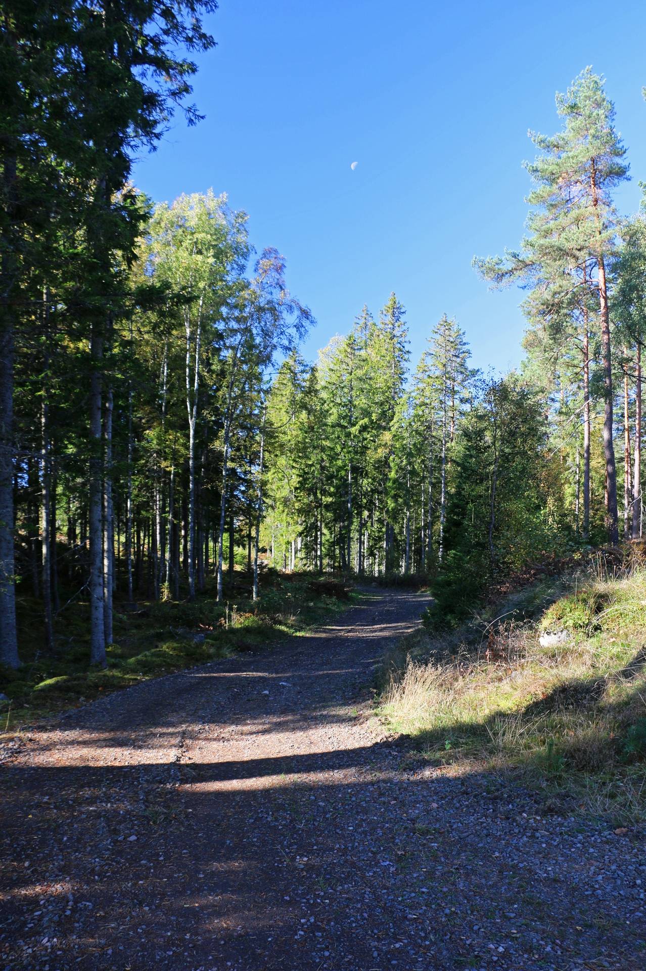 Gård med jordbruk på Älmekulla Ydre kommun - bild 14