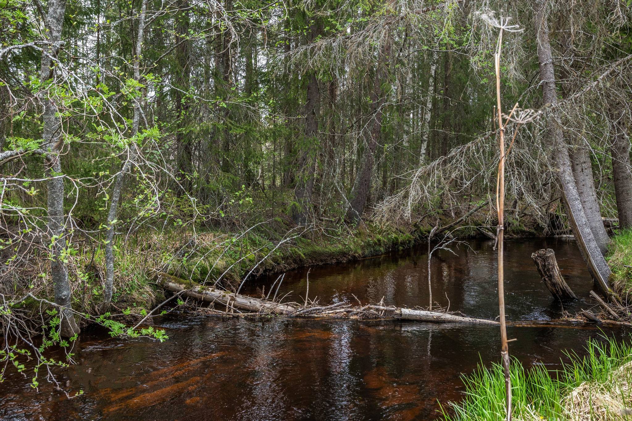 3 rum Villa på Härjedalsvägen Skyte 10 Ljusdals kommun - bild 3