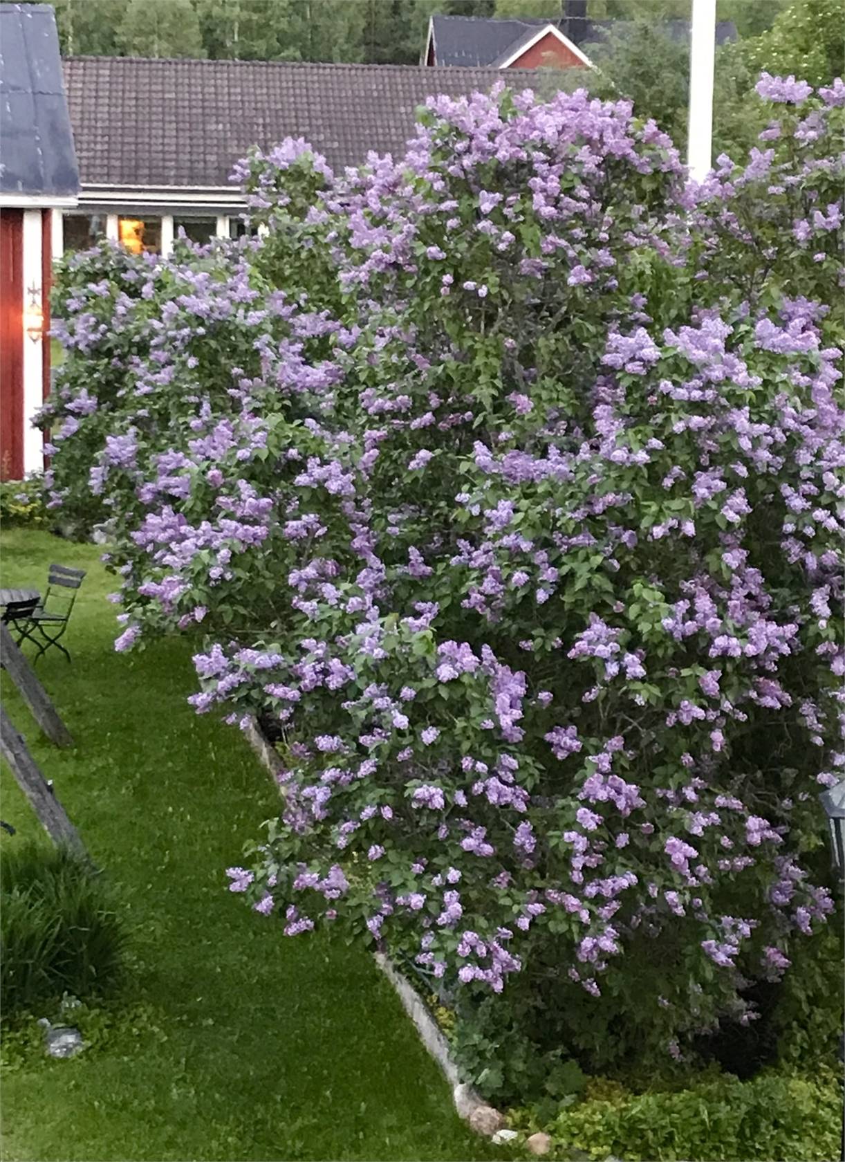 6 rum Villa på Östra Varmvattnet 234 Tavelsjö Umeå kommun - bild 58