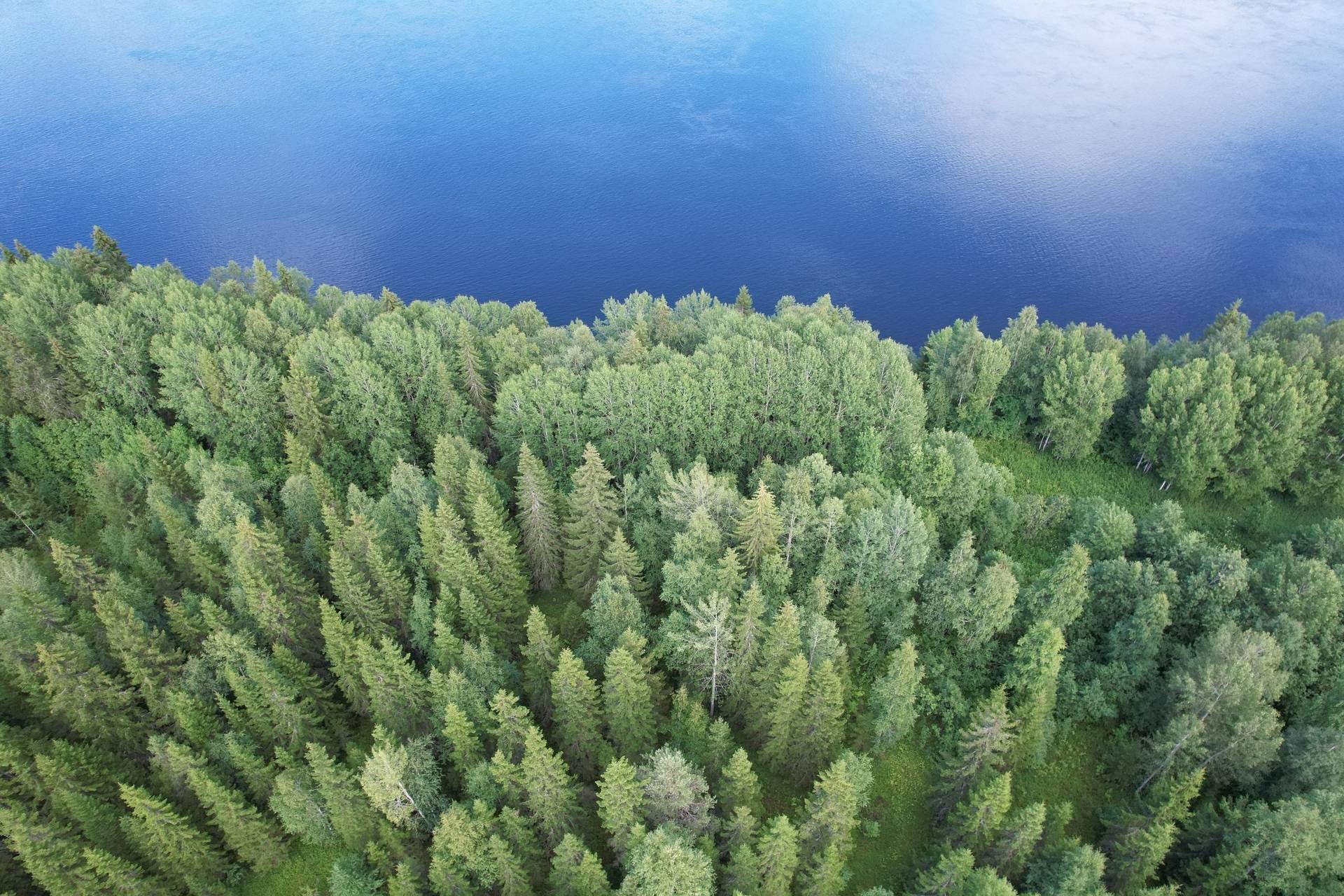 Gård/skog på Korpikylä Haparanda kommun - bild 1