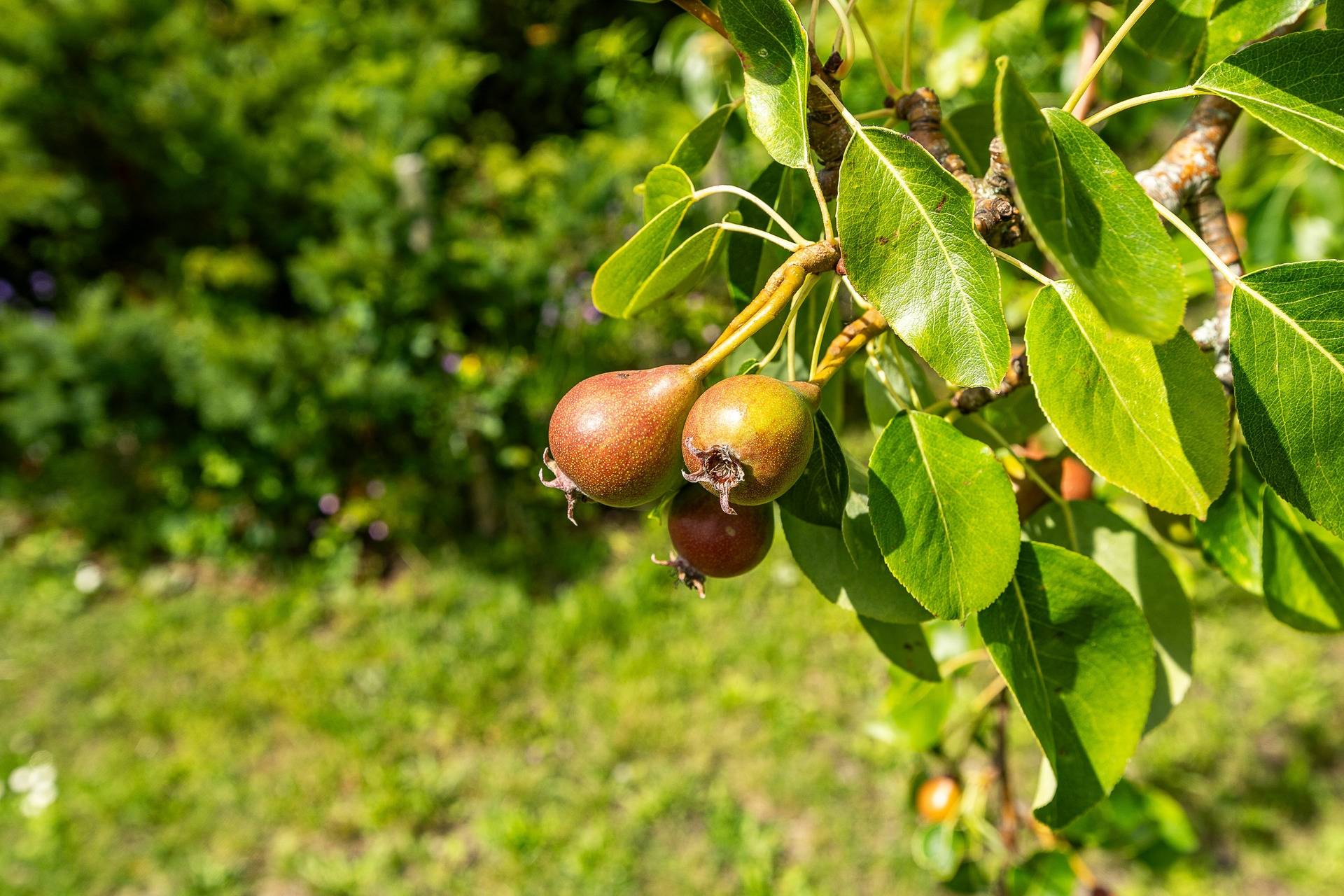 9 rum Villa på Johannesdalsgatan 12 Johannesdal Västerviks kommun - bild 39