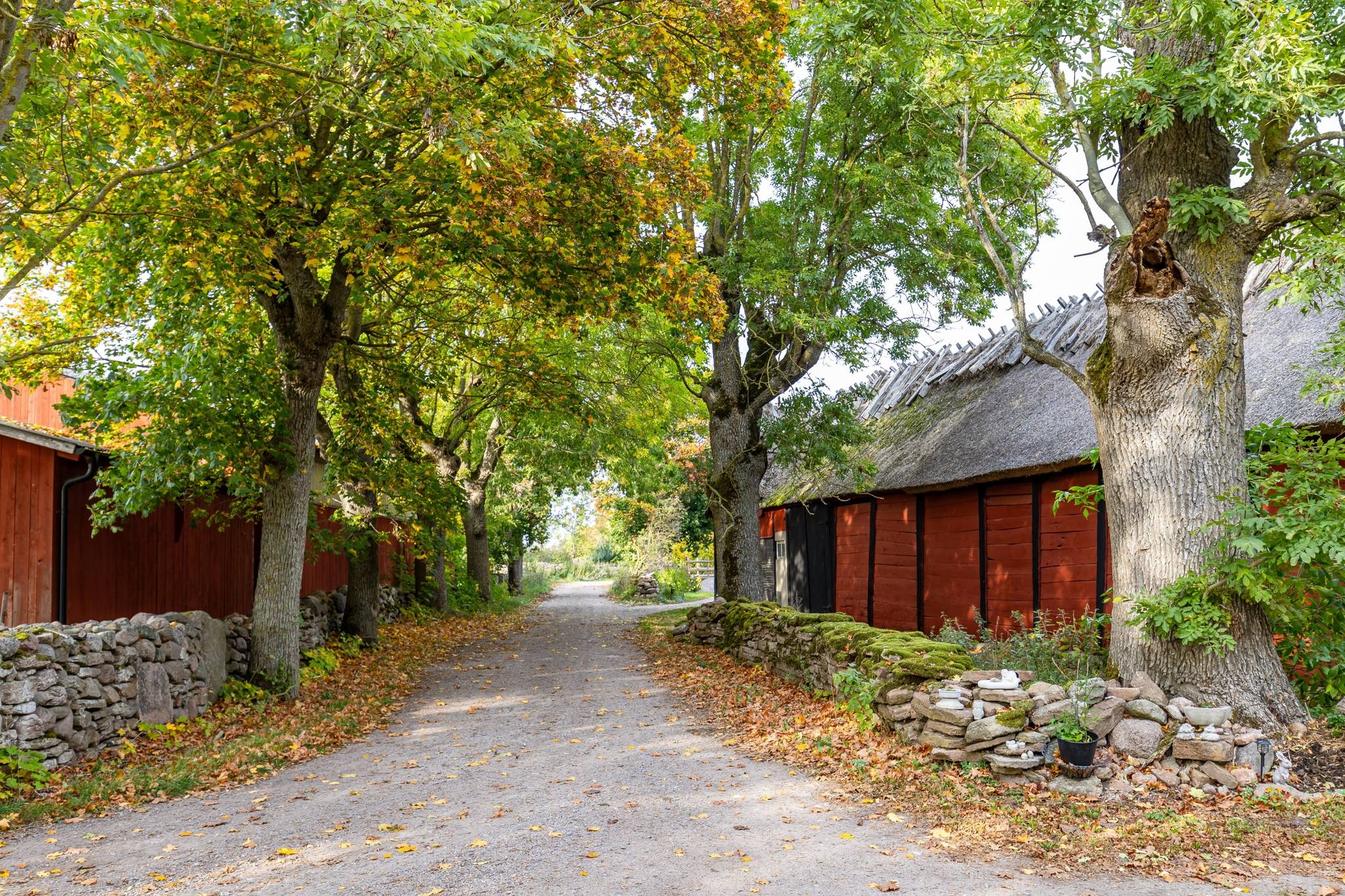 4 rum Villa på Törnbotten 113 Färjestaden Mörbylånga kommun - bild 41