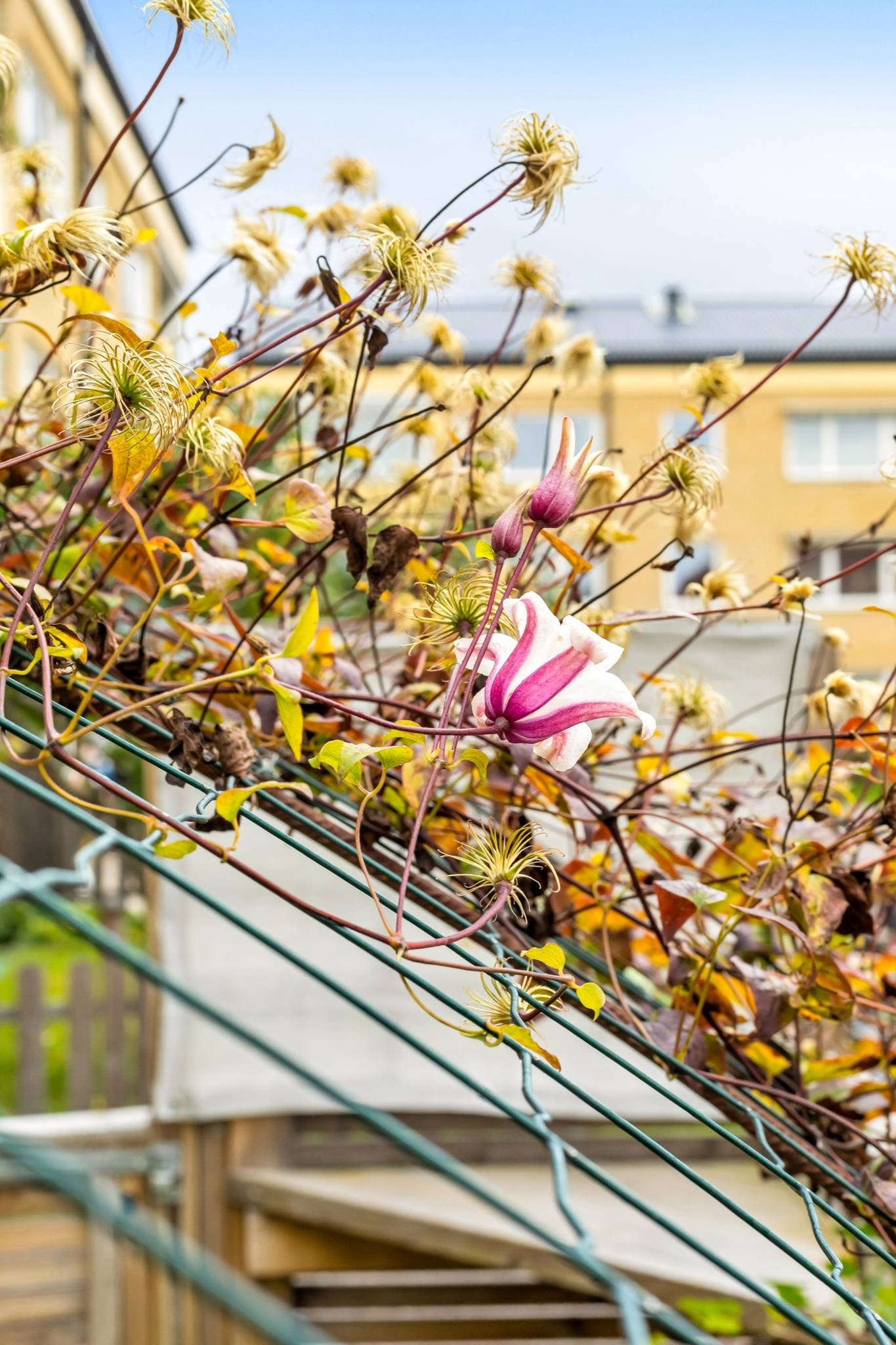 3 rum Lägenhet på Wivalliusgatan 3 Nyby Uppsala kommun - bild 38