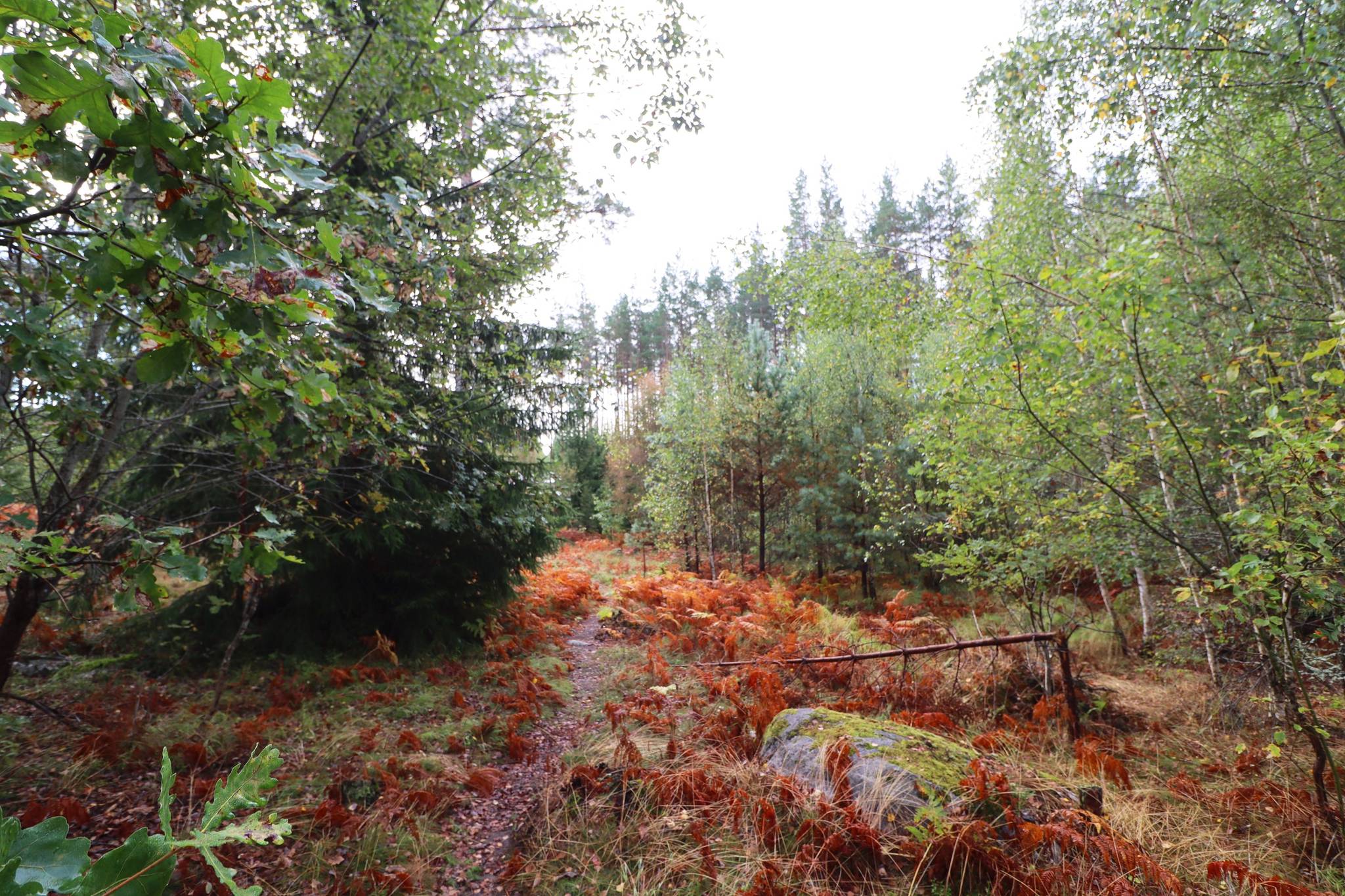 2 rum Gård/skog på Haglundavägen 17 Gottröra - Haglunda Norrtälje kommun - bild 7