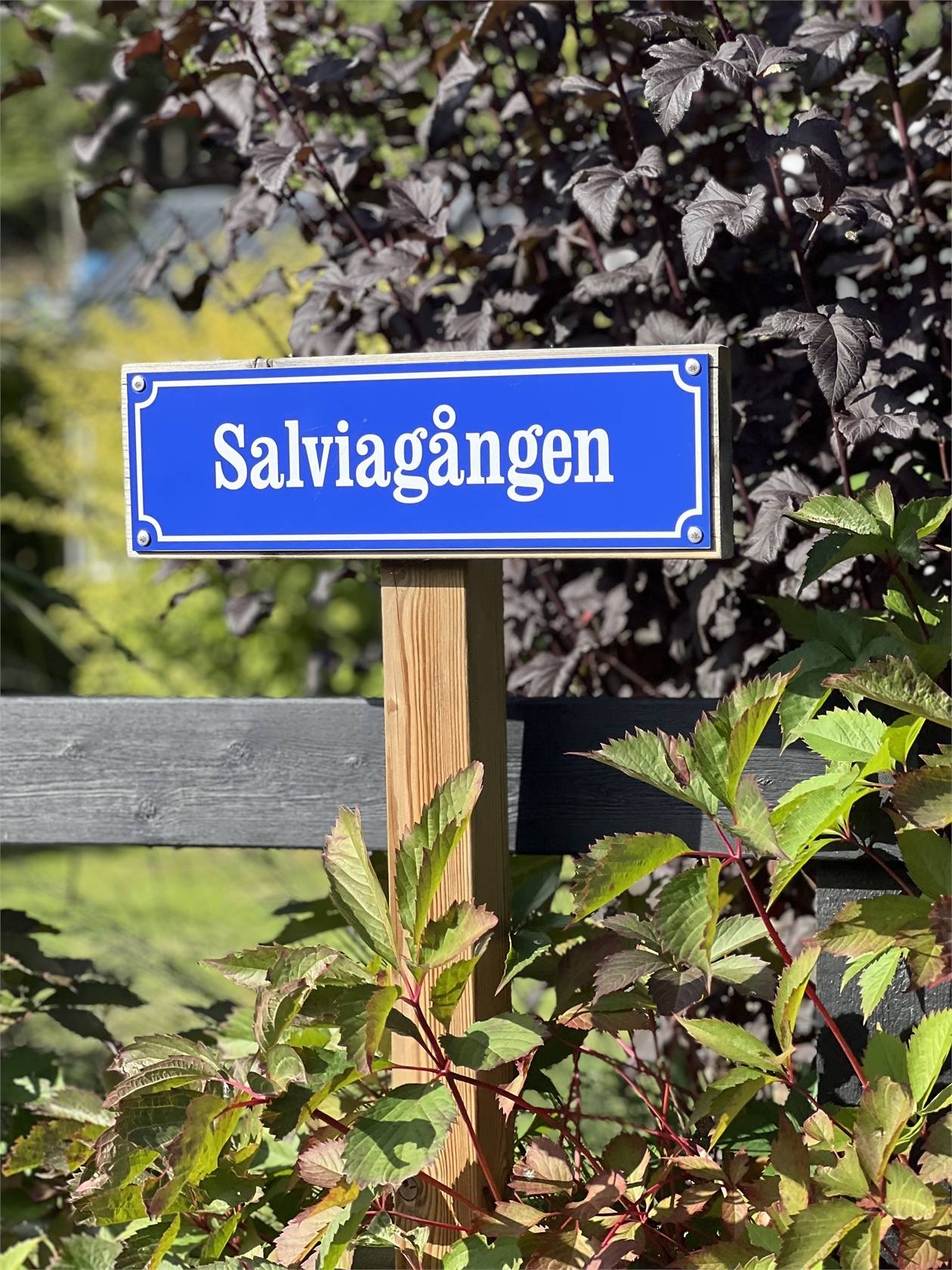 3 rum Fritidshus på Salviagången 111 Sommarstaden Karlshamns kommun - bild 20
