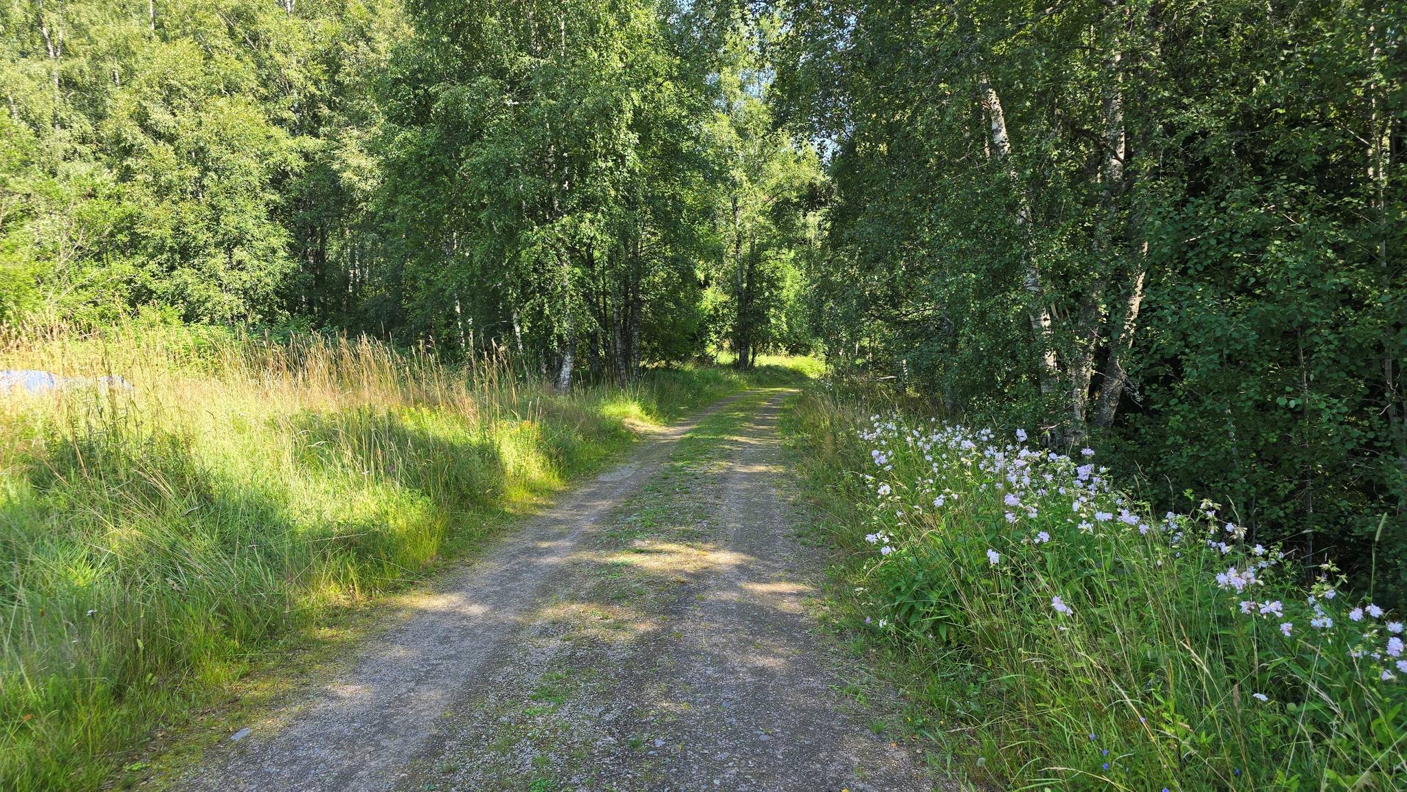 6 rum Vinterbonat fritidshus på Näs Snackatorpet 1 Värnamo kommun - bild 7
