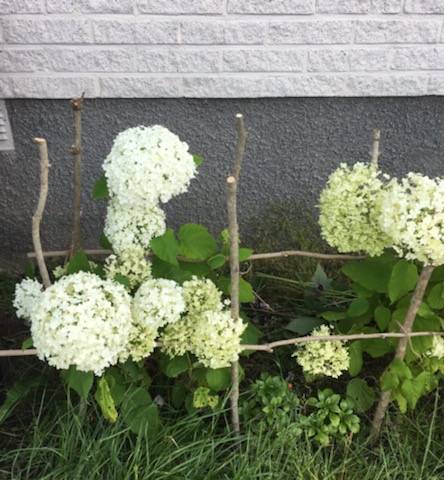 4 rum Villa på Sångarleden 21 Mjölby - Östra Mjölby kommun - bild 28