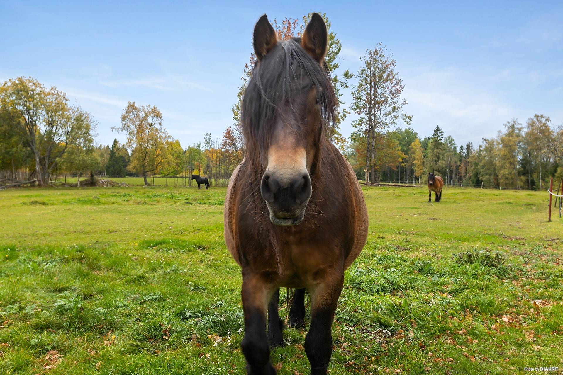 5 rum Gård/skog på Söråsen 1 Laxå kommun - bild 7