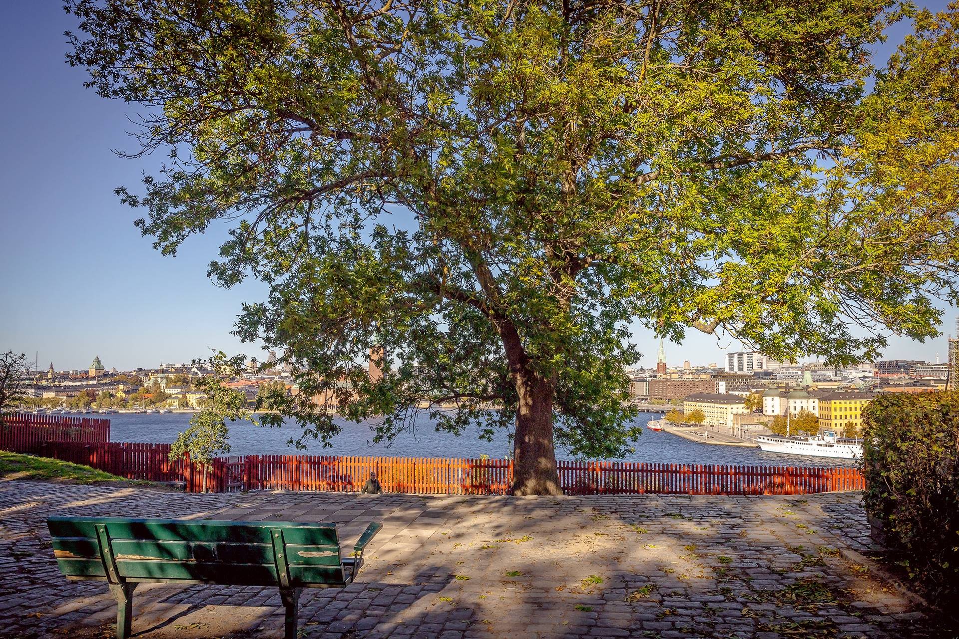 1.5 rum Lägenhet på Bastugatan 21 Maria Stockholms kommun - bild 24