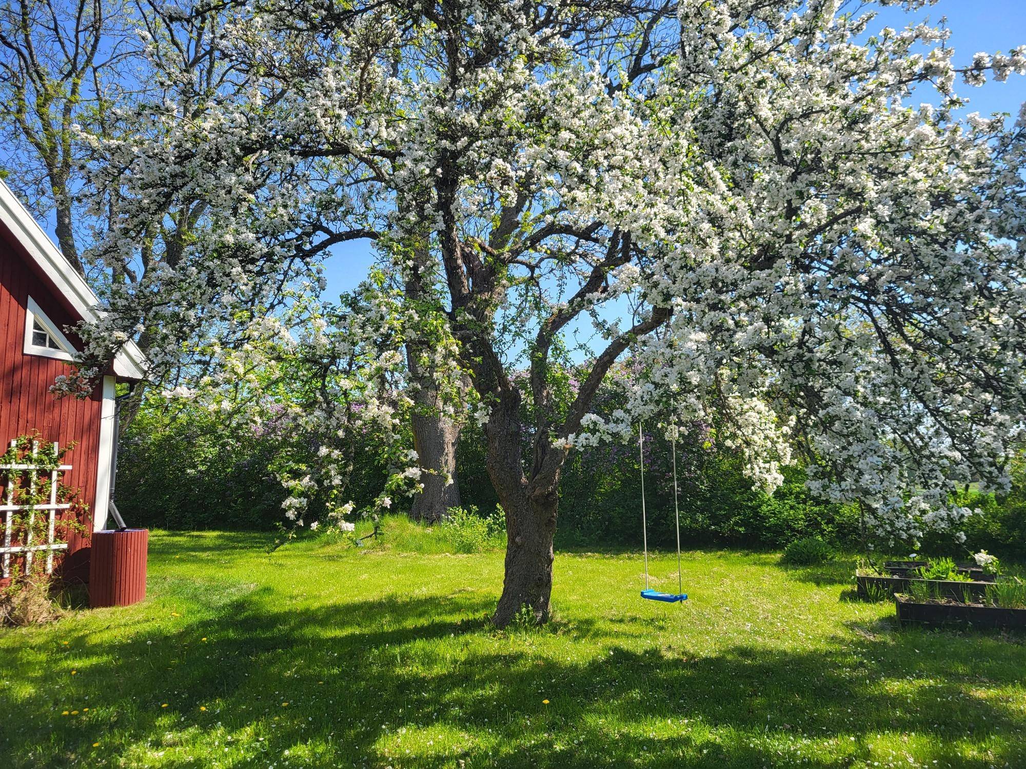 4 rum Fritidshus på Ullstorp Fänriksgård 3 Nykil Linköpings kommun - bild 26