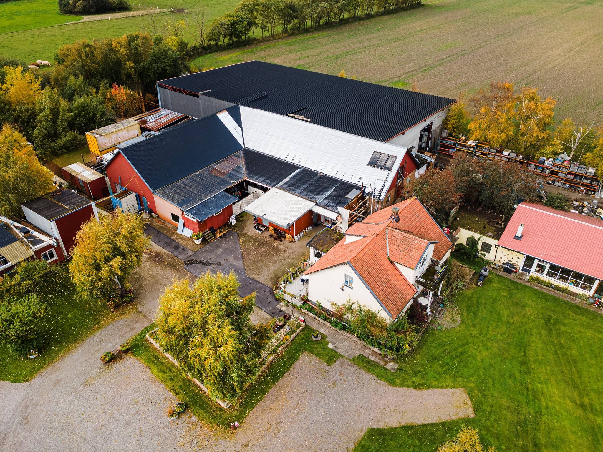Gård/skog på Täppeshusvägen 119-15 Viken/Täppeshusen Höganäs kommun - bild 3