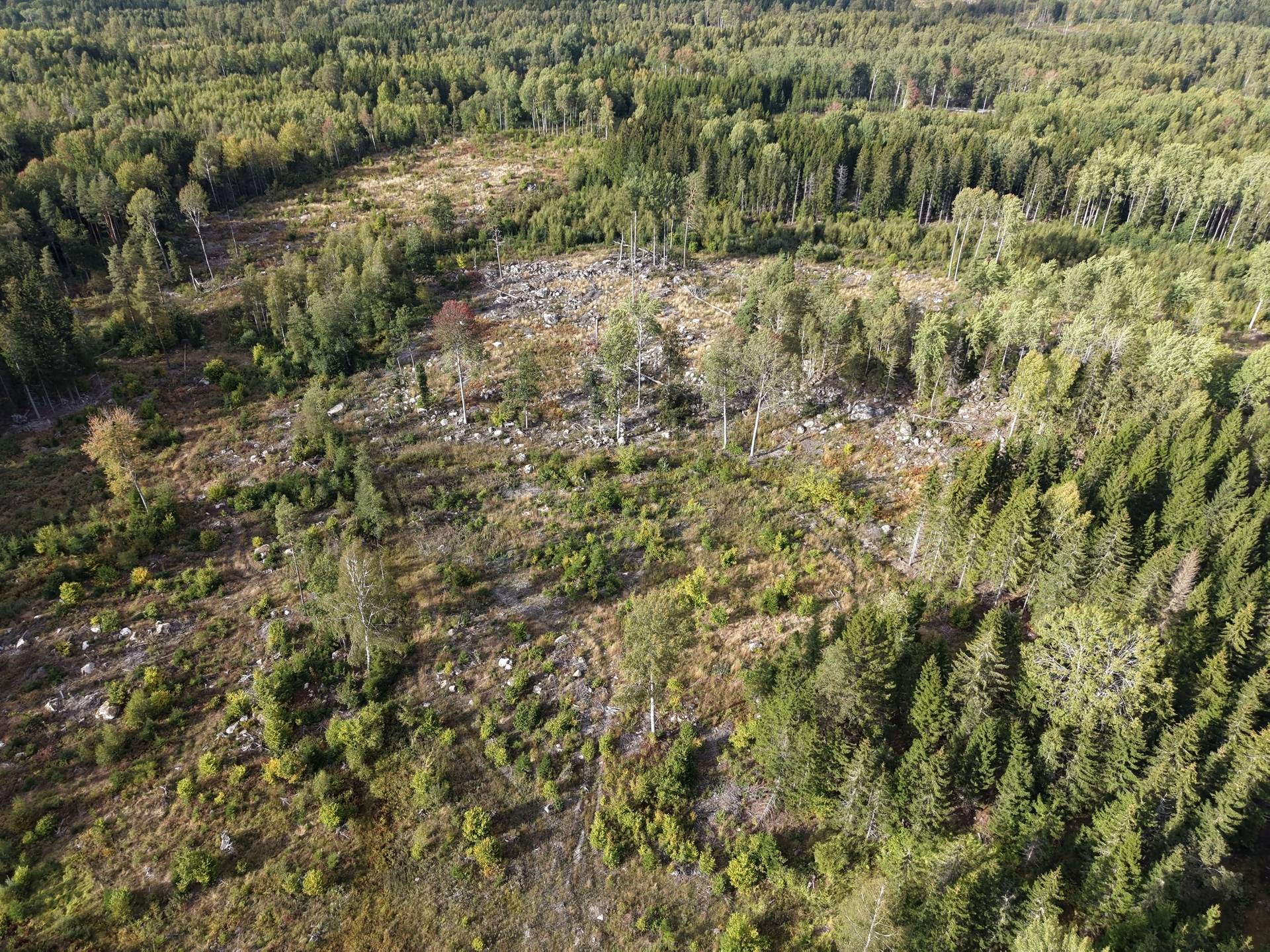 Gård med skogsbruk på NORRTÄLJE SÖDERMARJUM 2:2 Norrtälje kommun - bild 15