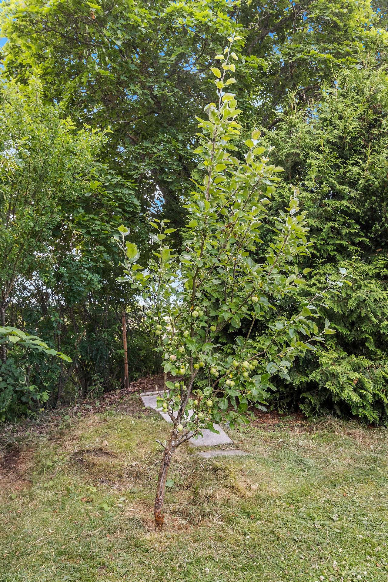 5 rum Villa på Norrbackavägen 5 Torpa Kungsörs kommun - bild 32