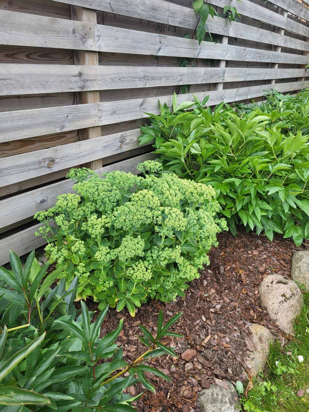 2 rum Fritidshus på Rosengången 24 Östra Sommarstaden Ystads kommun - bild 15