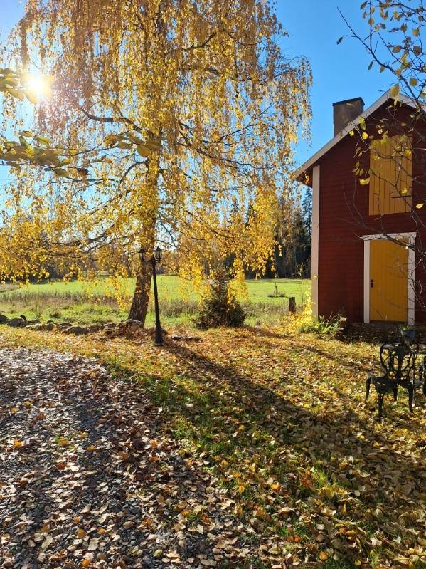 5 rum Gård med jordbruk på Västra Högstaboda Furuhäll 225 Vedevåg Lindesbergs kommun - bild 85