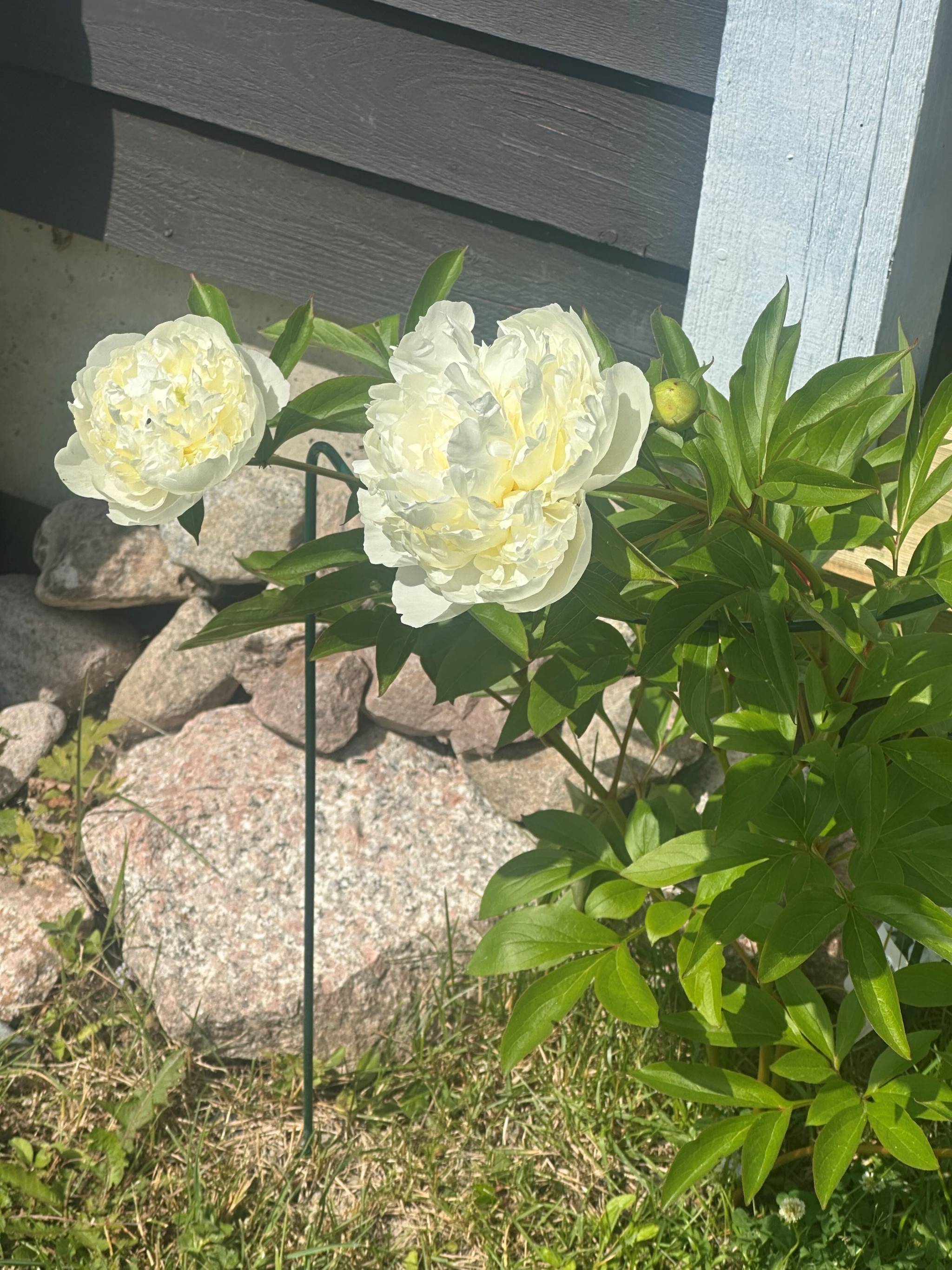 3 rum Villa på Tackmossvägen 22 Uppsala kommun - bild 57