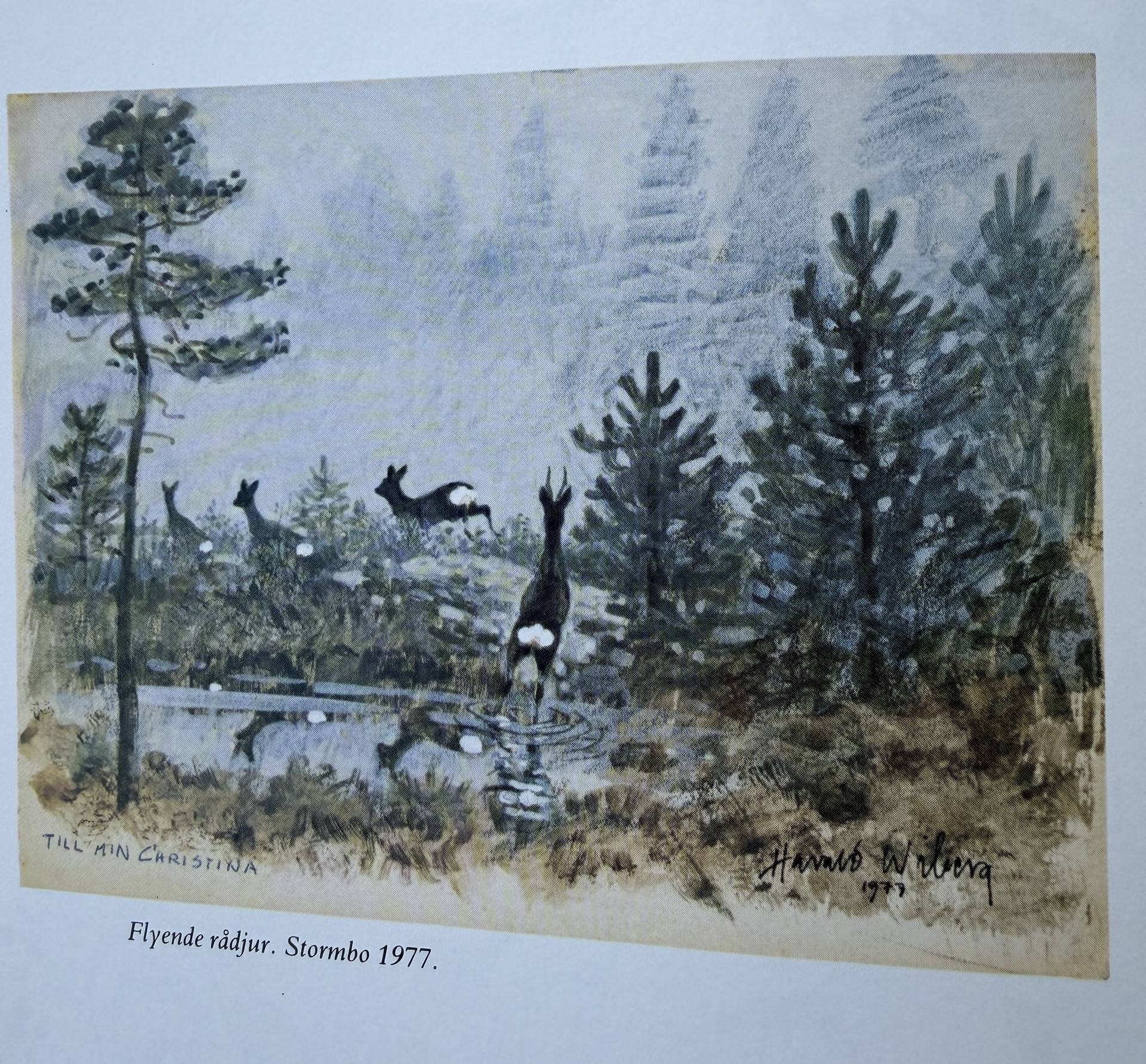 4 rum Gård/skog på Stormandebo Koltorp Västervik/Vimmerby Västerviks kommun - bild 63
