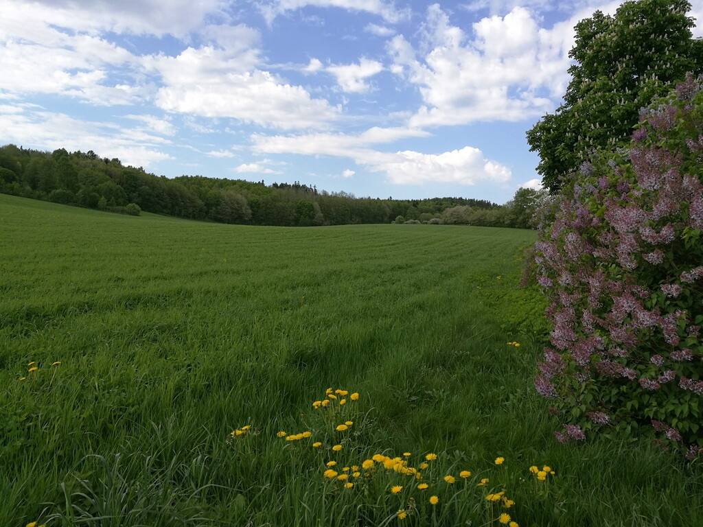 5 rum Villa på Kungslena Vilan Kungslena Tidaholms kommun - bild 6
