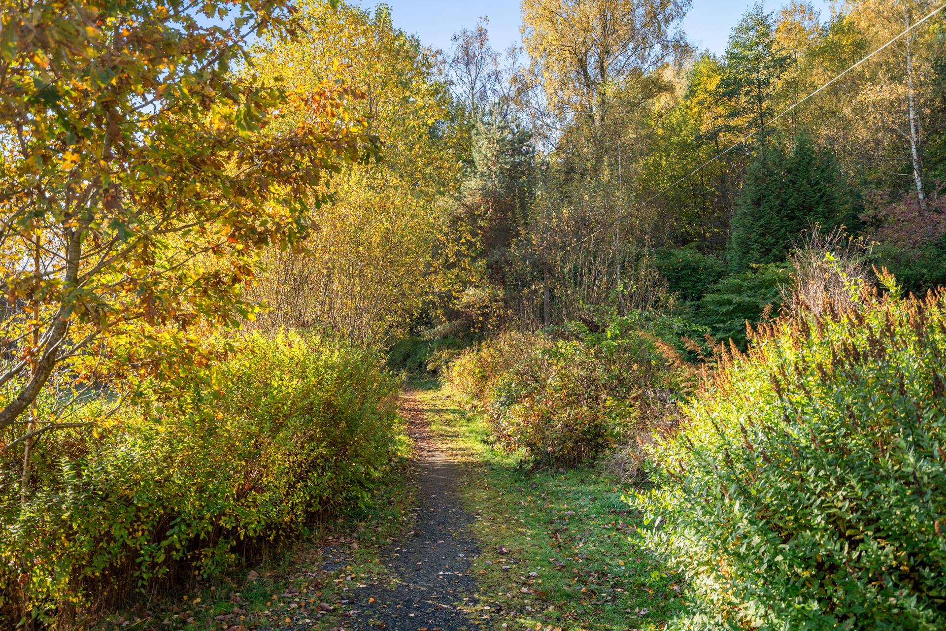 Billdal, Mölndals kommun