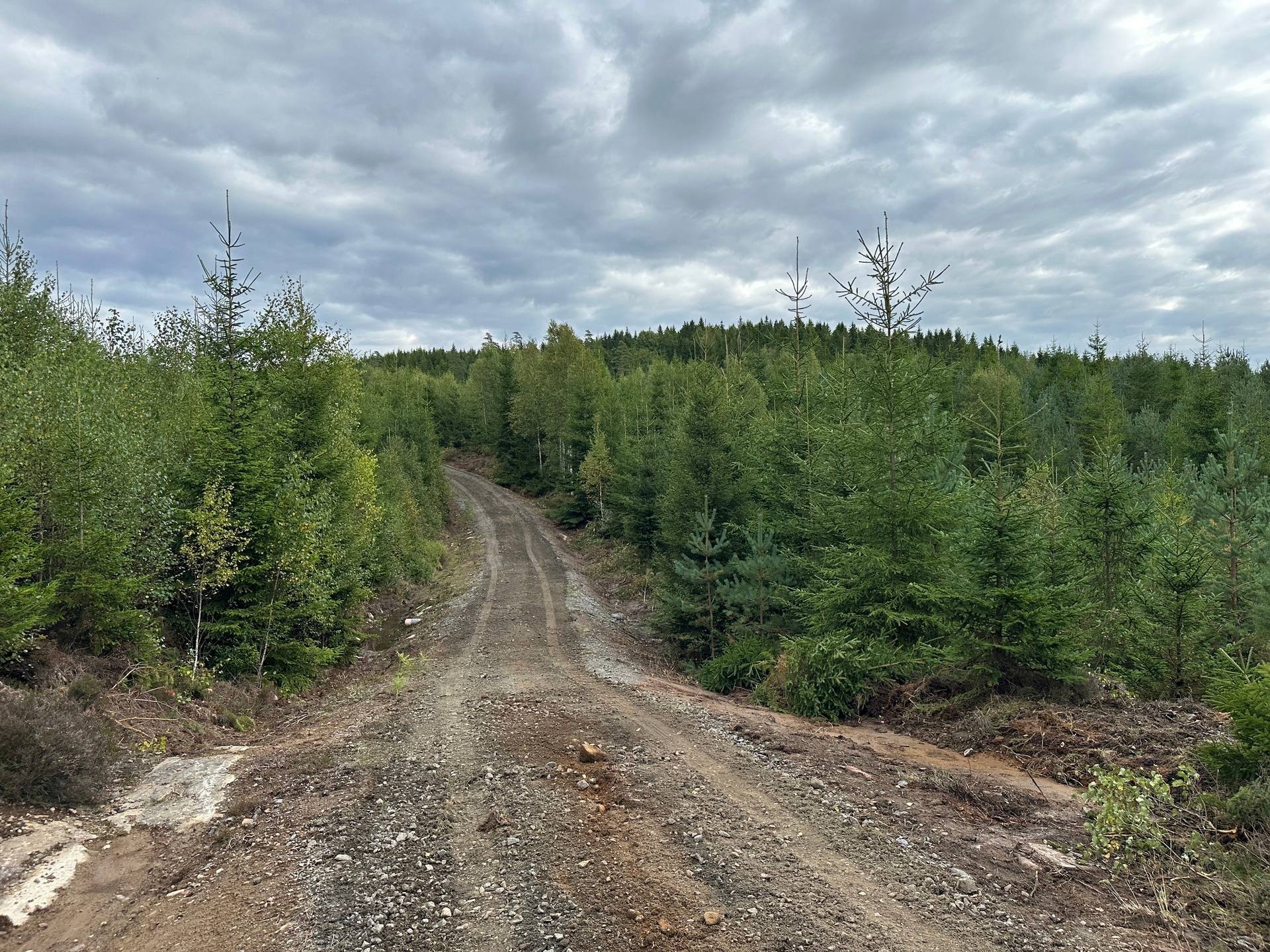 Gård med skogsbruk på MARK ANABÄCKSHULT 2:14 Anabäckshult Marks kommun - bild 36