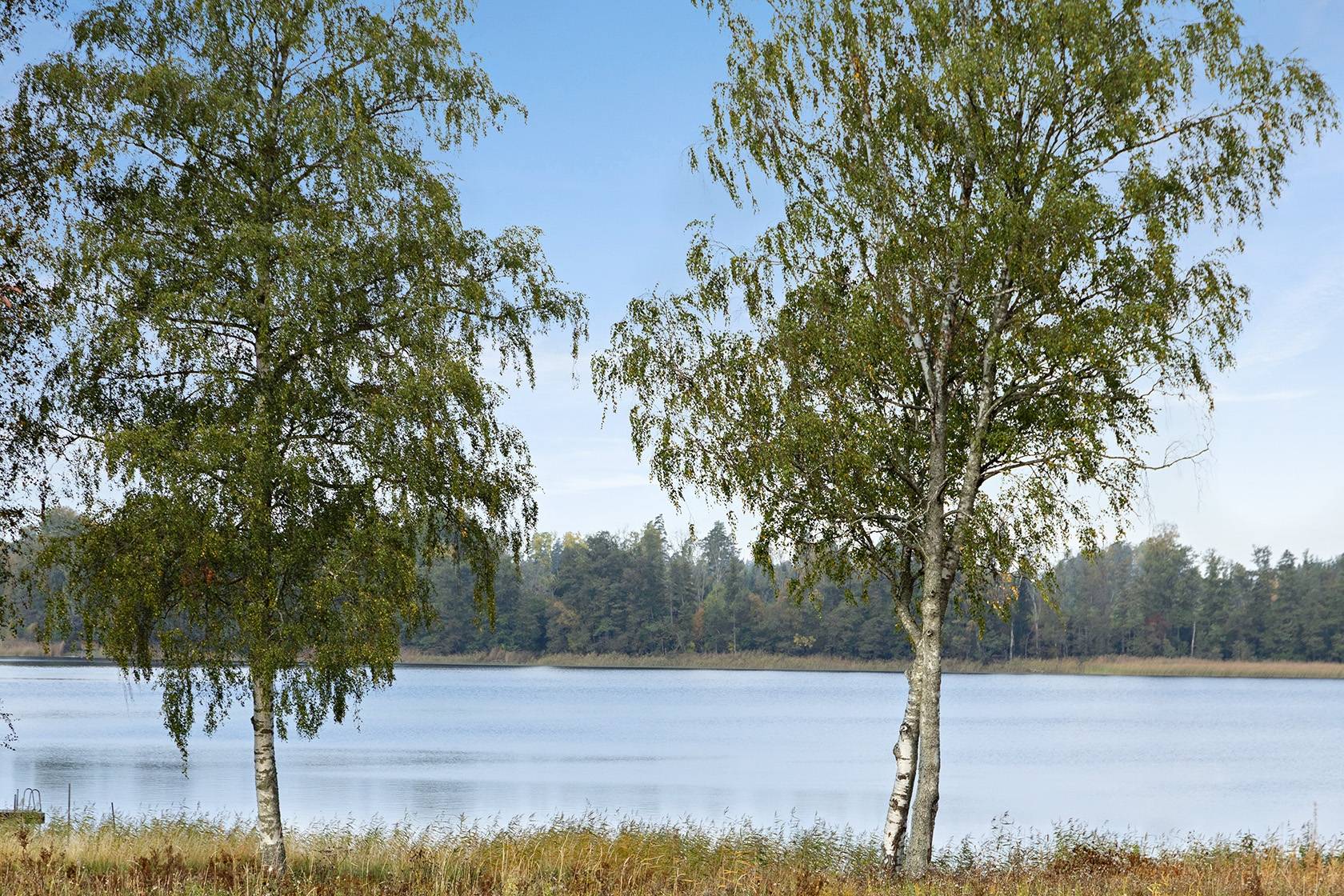 4 rum Villa på Timotejvägen 5 Bälgviken Eskilstuna kommun - bild 34