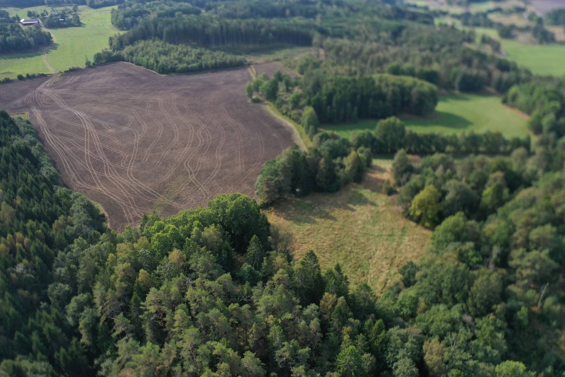100 m² Gård med skogsbruk på Öxna 21 Munkedals kommun - bild 30