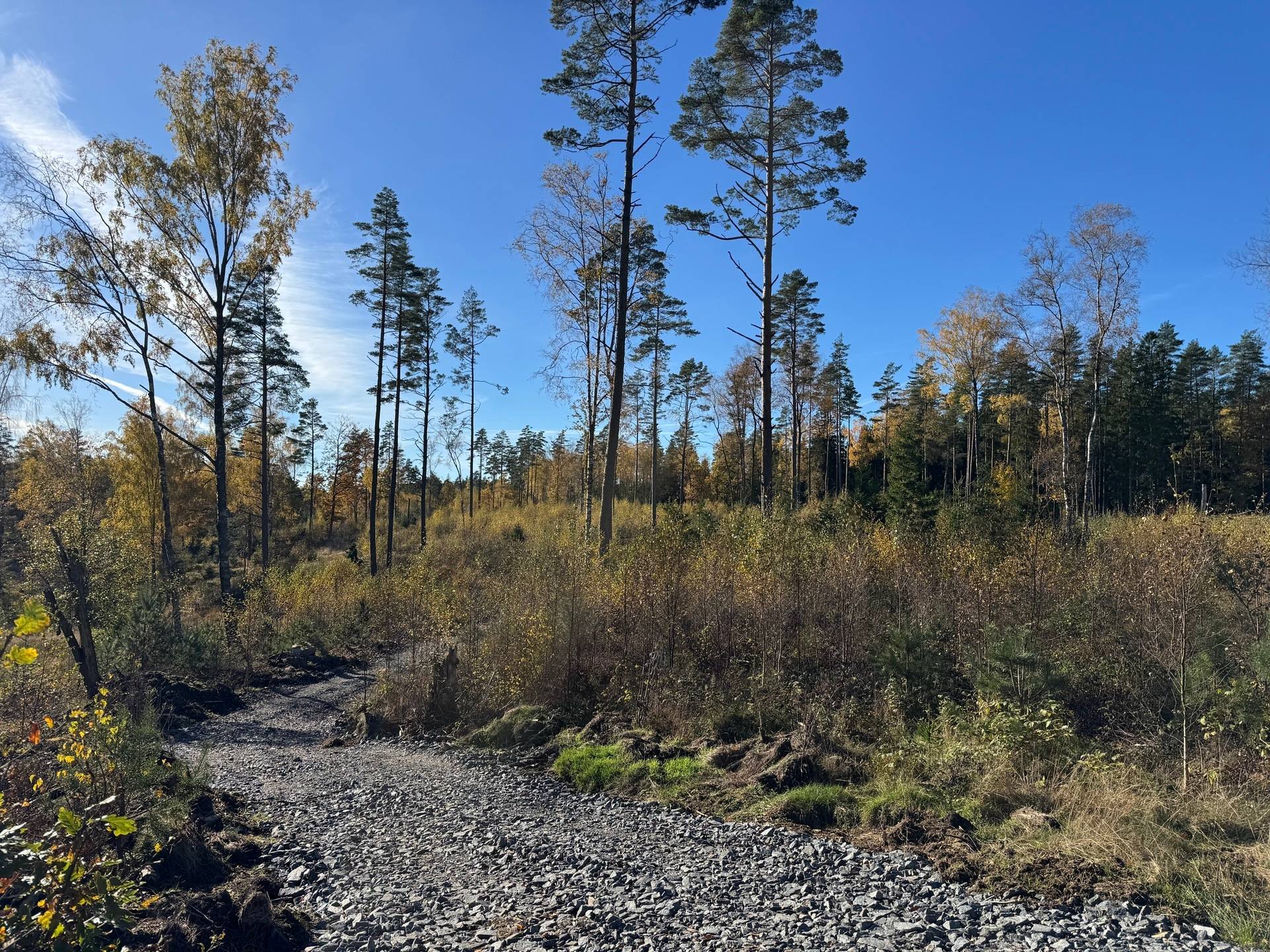 gård med skogsbruk på Tokhult 1:13 Öxabäck, Marks kommun - bild 2