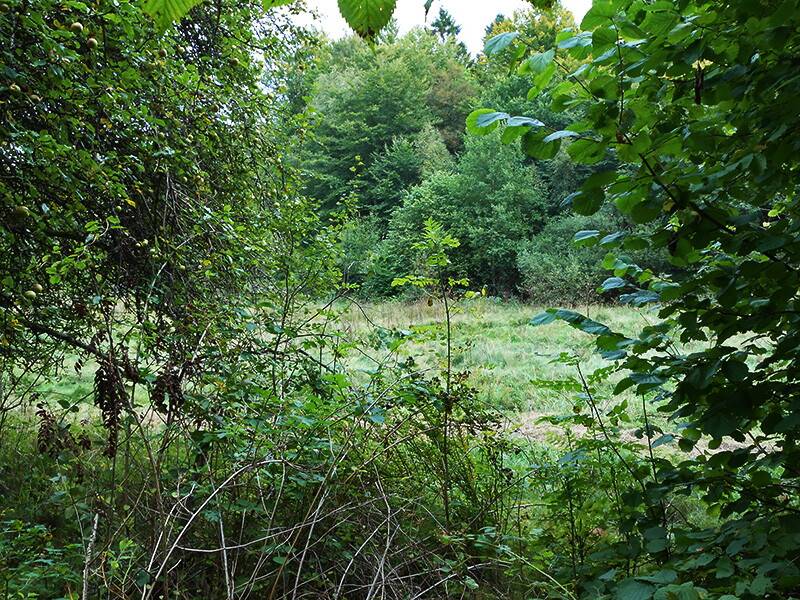2 rum Villa på Vävra 495 Vävra - Tjuvkil - Kungälv Kungälvs kommun - bild 22