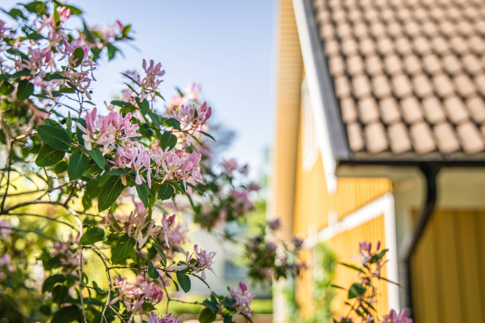 6 rum Villa på Ripvägen 7 Segeltorp Huddinge kommun - bild 71