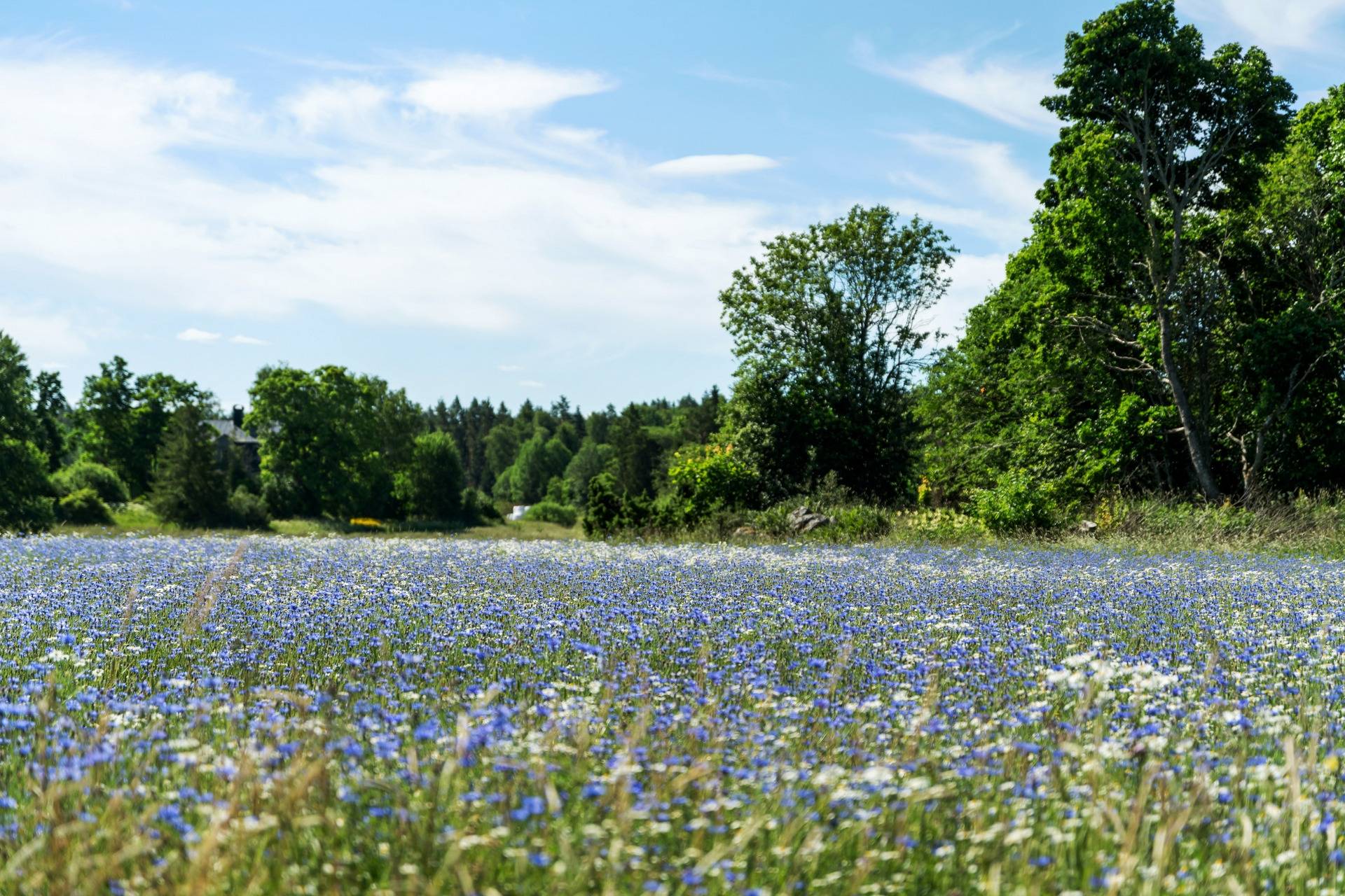 3 rum vinterbonat fritidshus på Norrhenninge 5 Edsbro, Norrtälje kommun - bild 4
