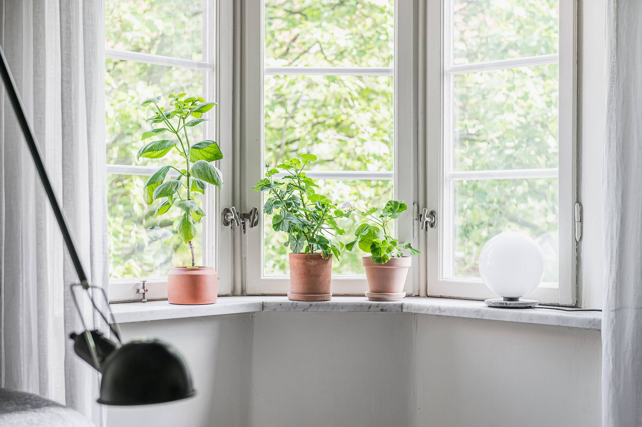 3 rum Lägenhet på S:t Knuts torg 4 S:t Knut Malmö kommun - bild 11