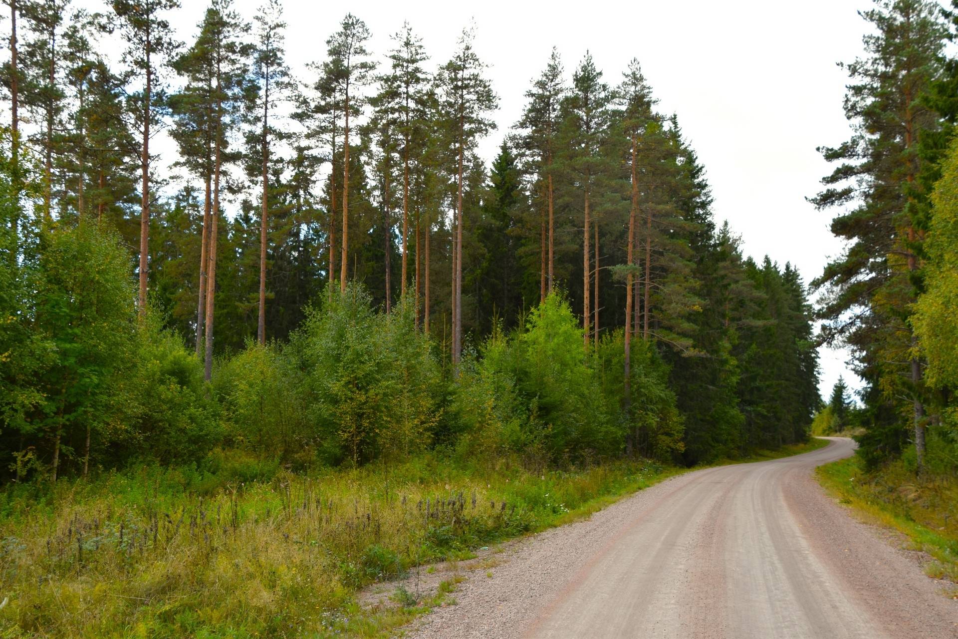Gård med jordbruk på Snårbotten Gärdet Laggartorp Storfors kommun - bild 8