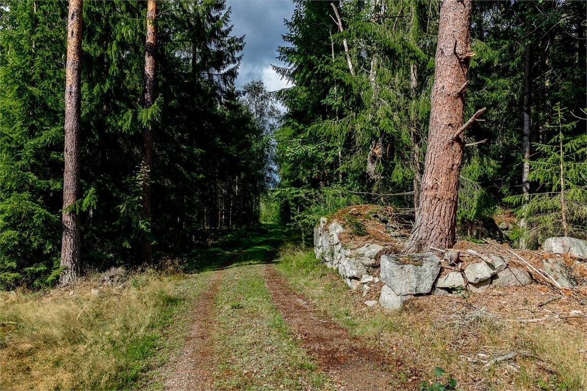 Gård/skog på Göljahult Bokelund Tingsryd Tingsryds kommun - bild 10