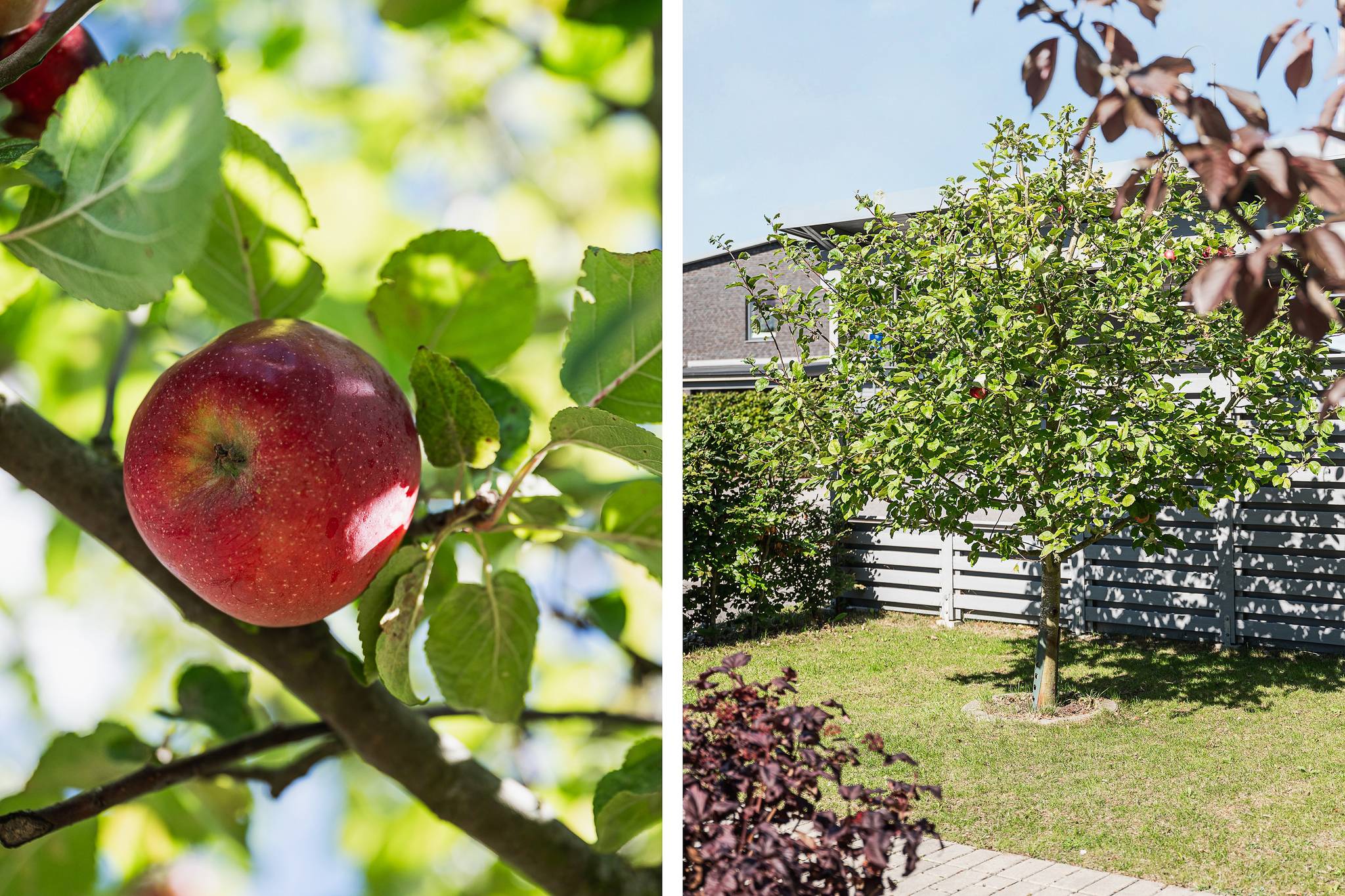 4 rum Villa på Junivägen 15 Hjärup Staffanstorps kommun - bild 17