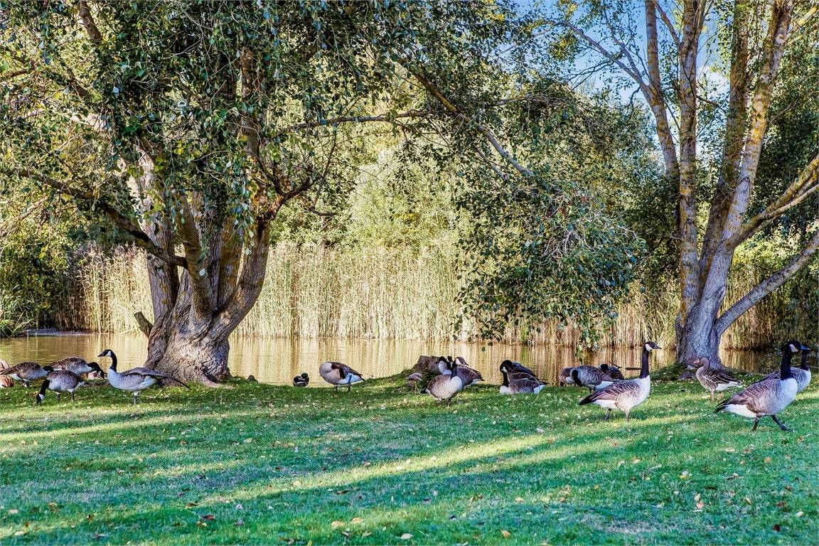 4 rum Lägenhet på Ulvsättragränd 10 Kallhäll Järfälla kommun - bild 24