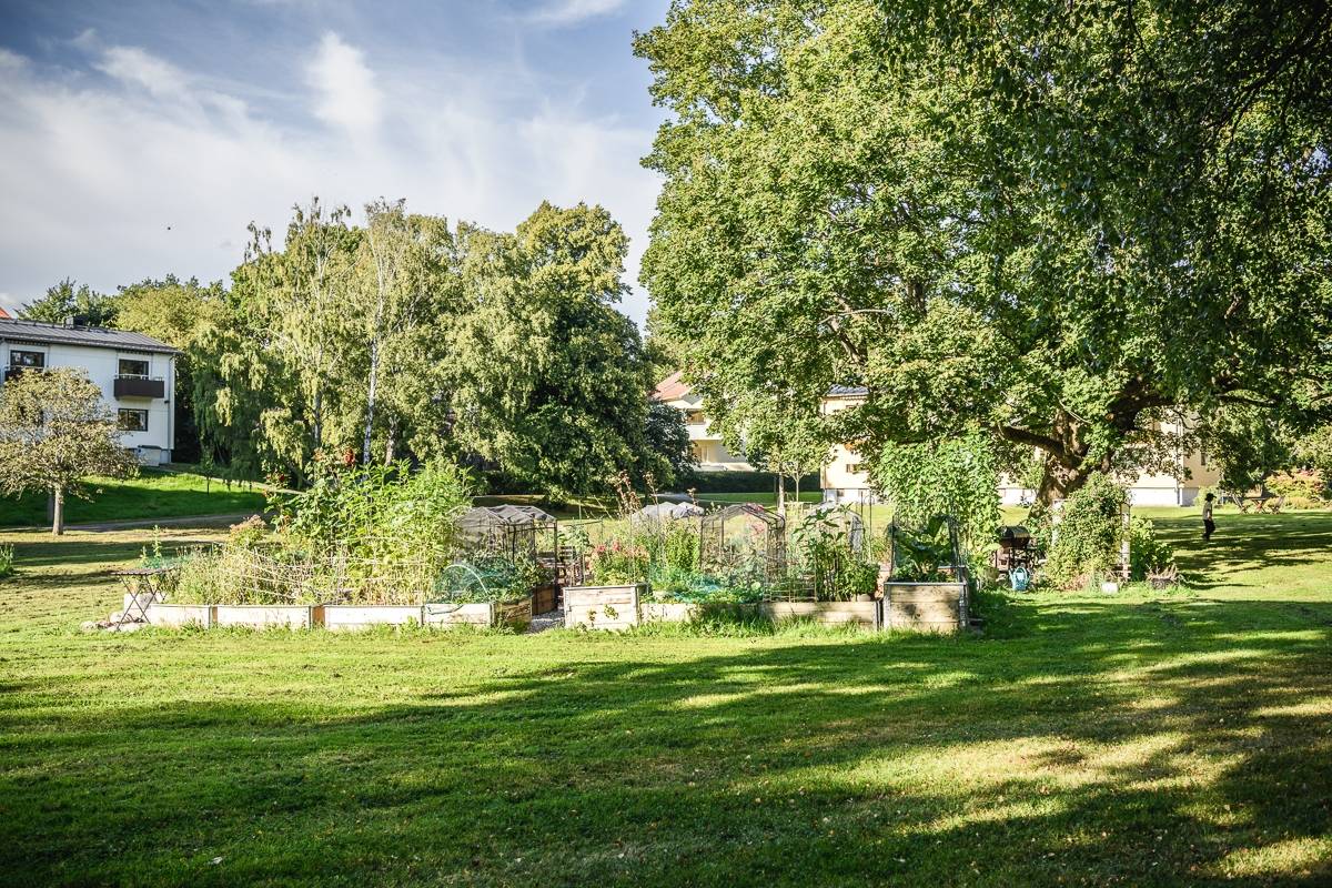 2 rum Lägenhet på Kungsladugårdsgatan 104A Kungsladugård Göteborgs kommun - bild 17