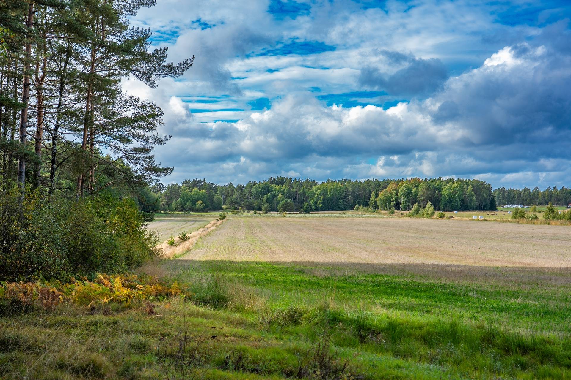 Gård med jordbruk på Övergården Säffle kommun - bild 5