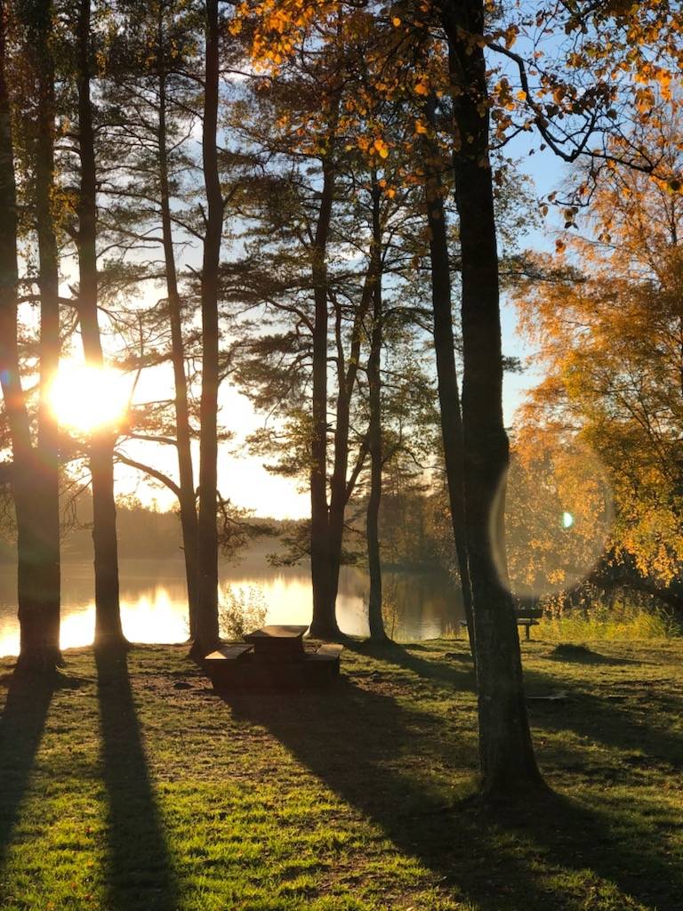 3 rum Villa på Sjövägen 11 Åsljunga Örkelljunga kommun - bild 19