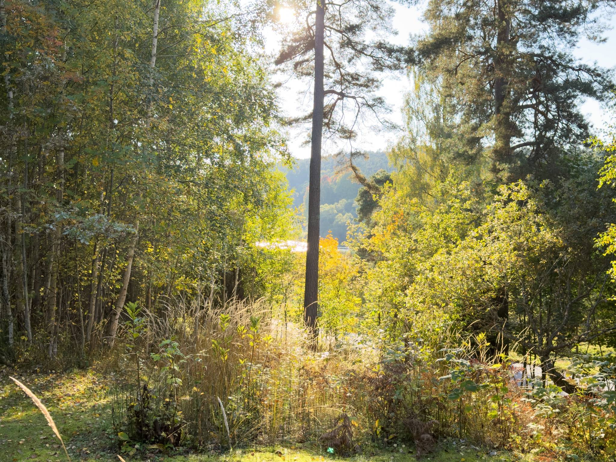 2 rum Fritidshus på Nåntuna 138 Lugnet Uppsala kommun - bild 4