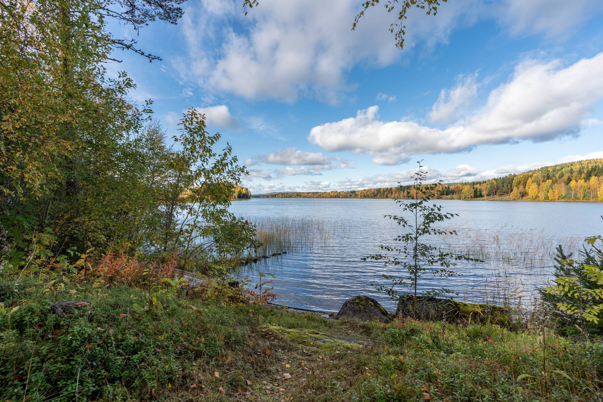 2 rum Fritidshus på Långvattnet 121 Långviksmon Örnsköldsviks kommun - bild 29