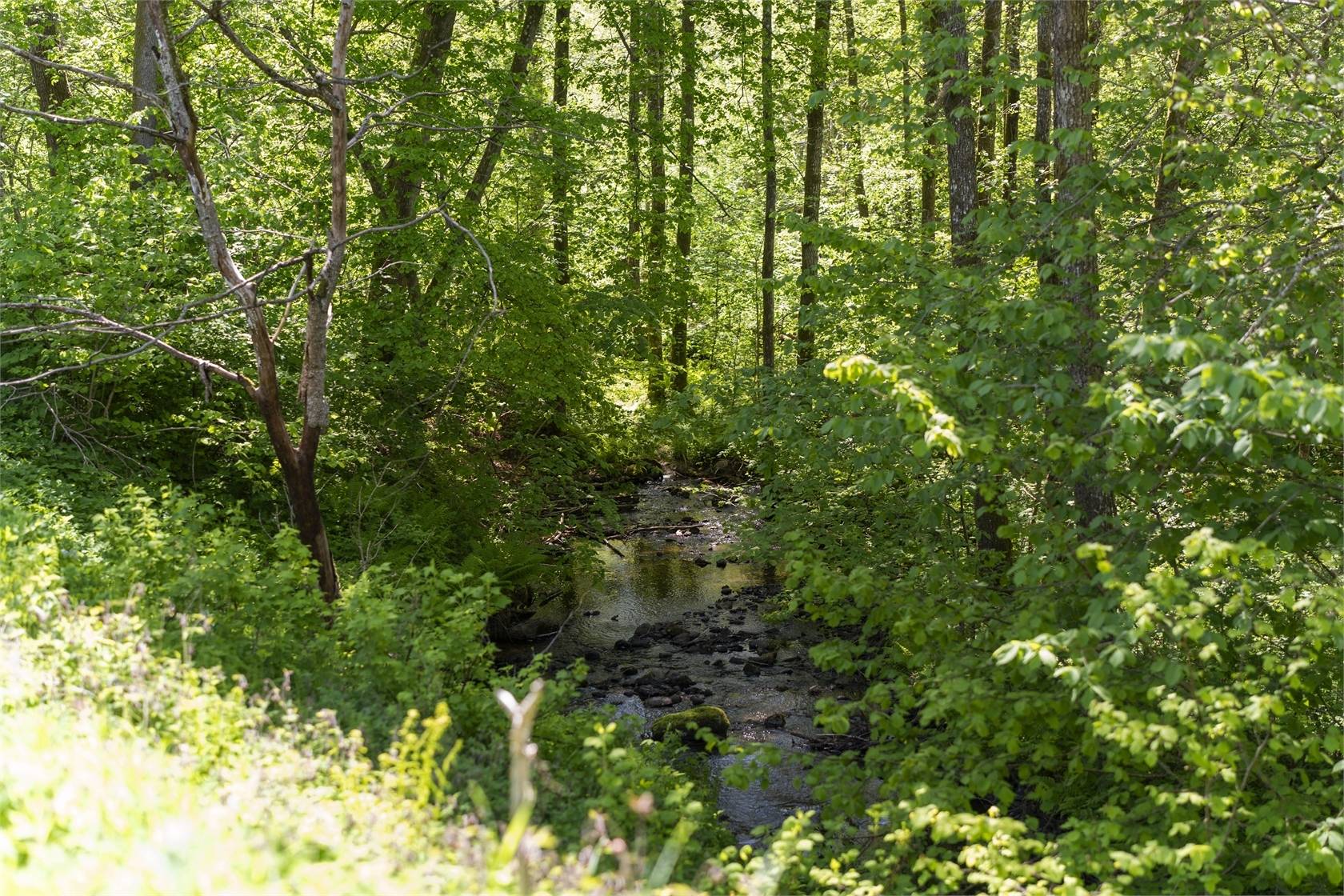 7 rum Villa på Skvaltvägen 4 Romelanda Kungälvs kommun - bild 62