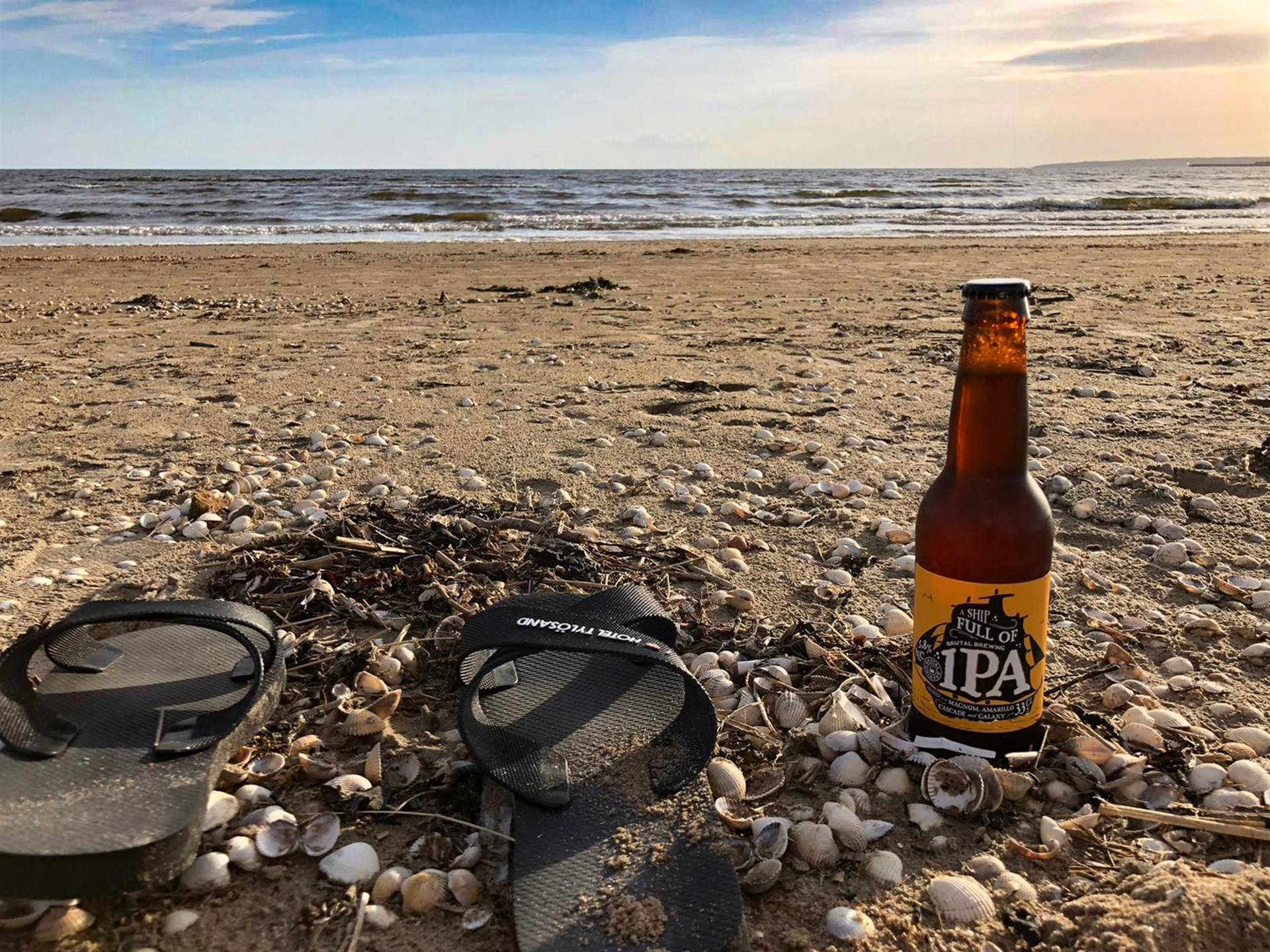 3 rum Fritidshus på Snäppans Fritidsby 24 Östra stranden Halmstads kommun - bild 24