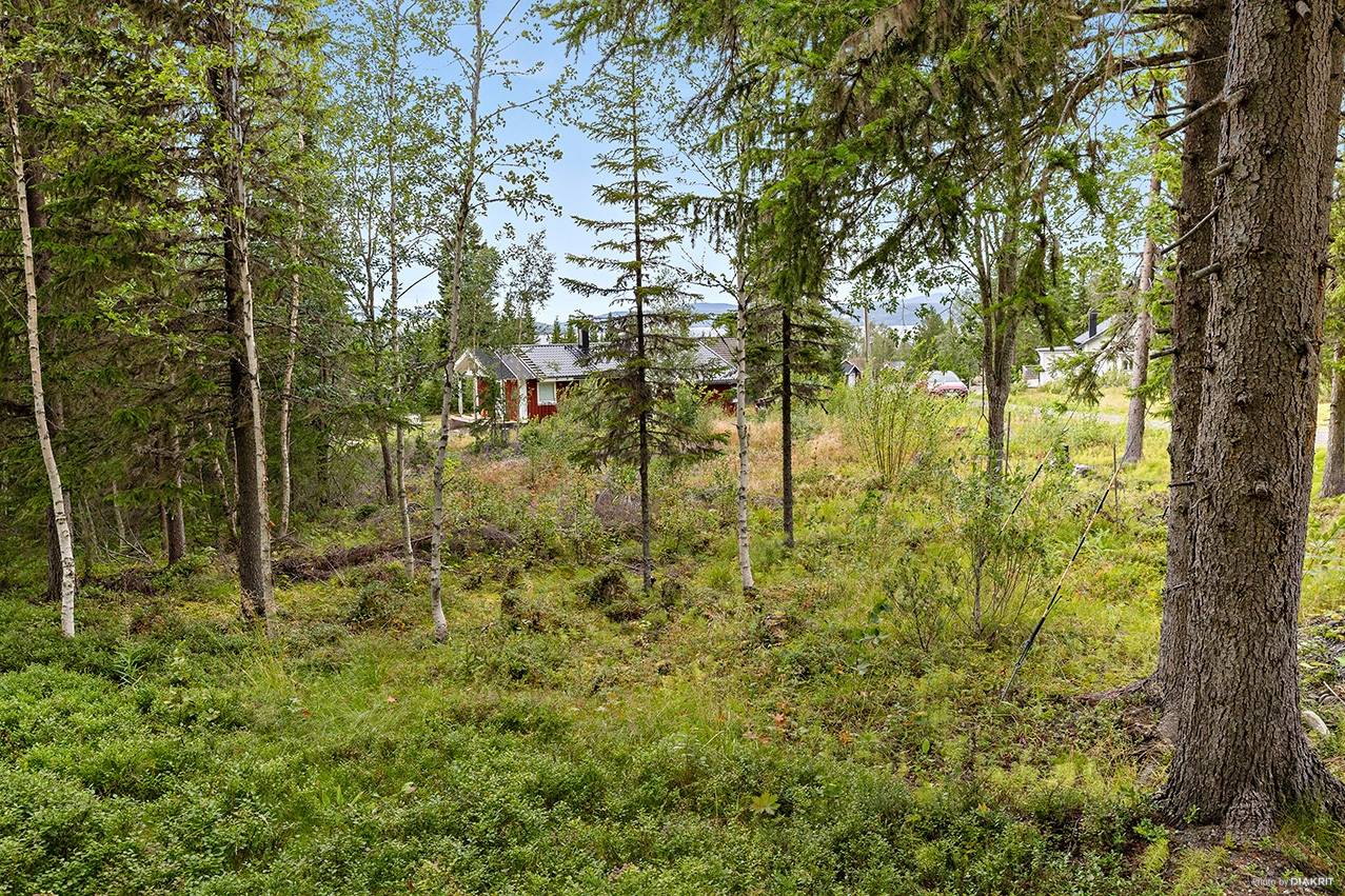 Tomt på Skogvaktarvägen 11 Rislängden Åre kommun - bild 13