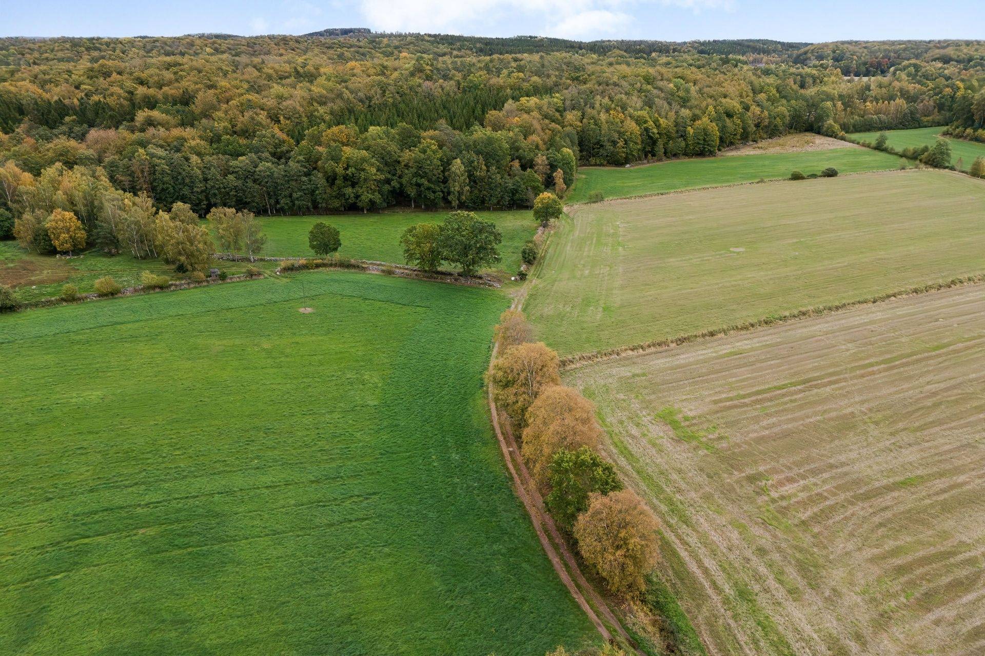 135 m² Gård med skogsbruk på Värestorp 2076 Östra Göinge kommun - bild 5