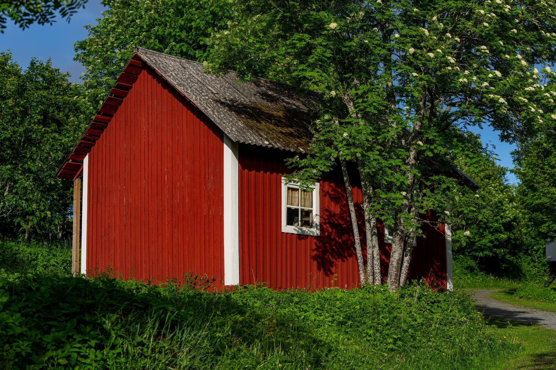 Gård med skogsbruk på Rise Östersunds kommun - bild 21