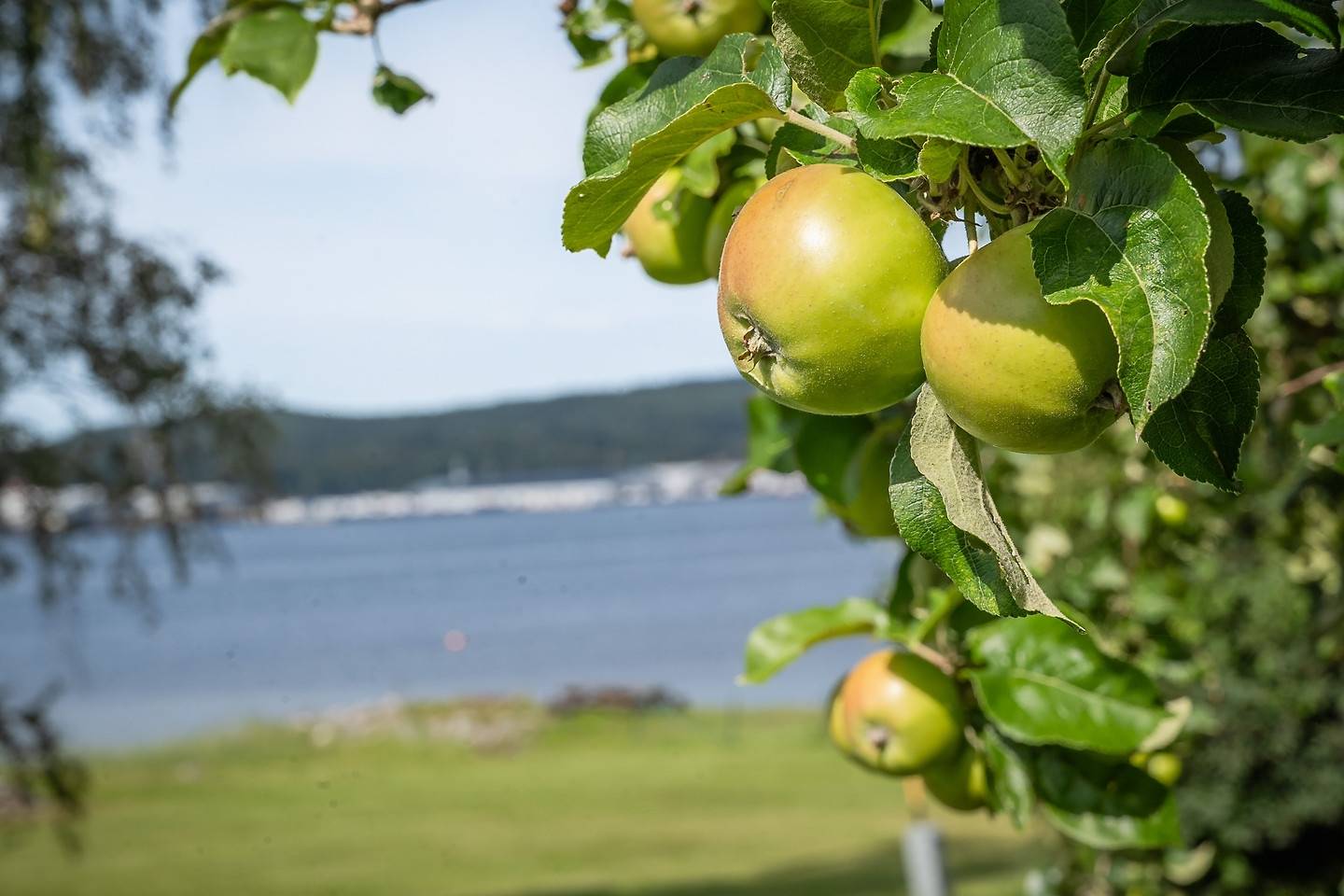 10 rum Villa på Raholmsvägen 90 Alnö Sundsvalls kommun - bild 45