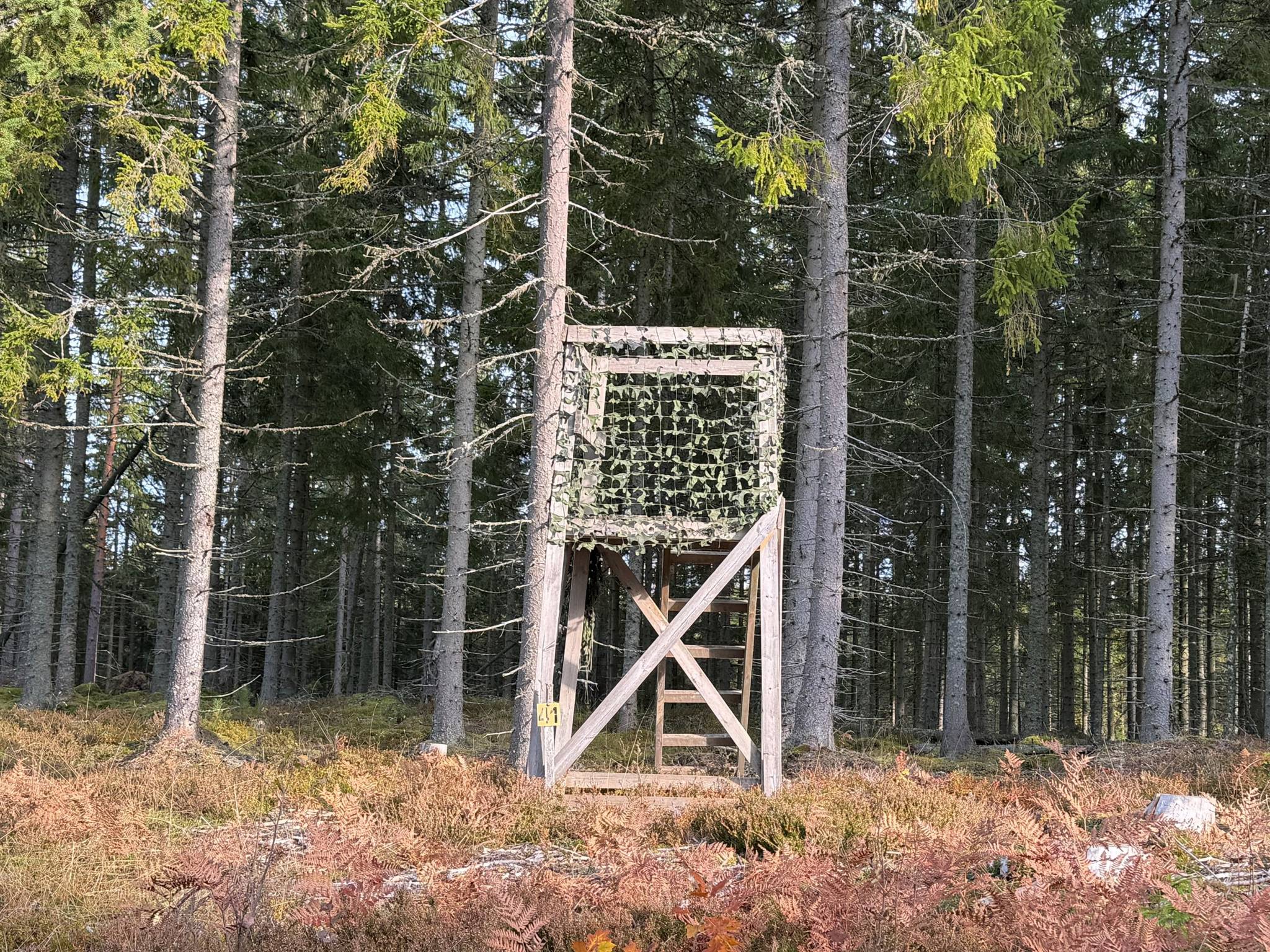 Gård/skog på Del av Hornaryd Hörnegård 2 Braås Växjö kommun - bild 13