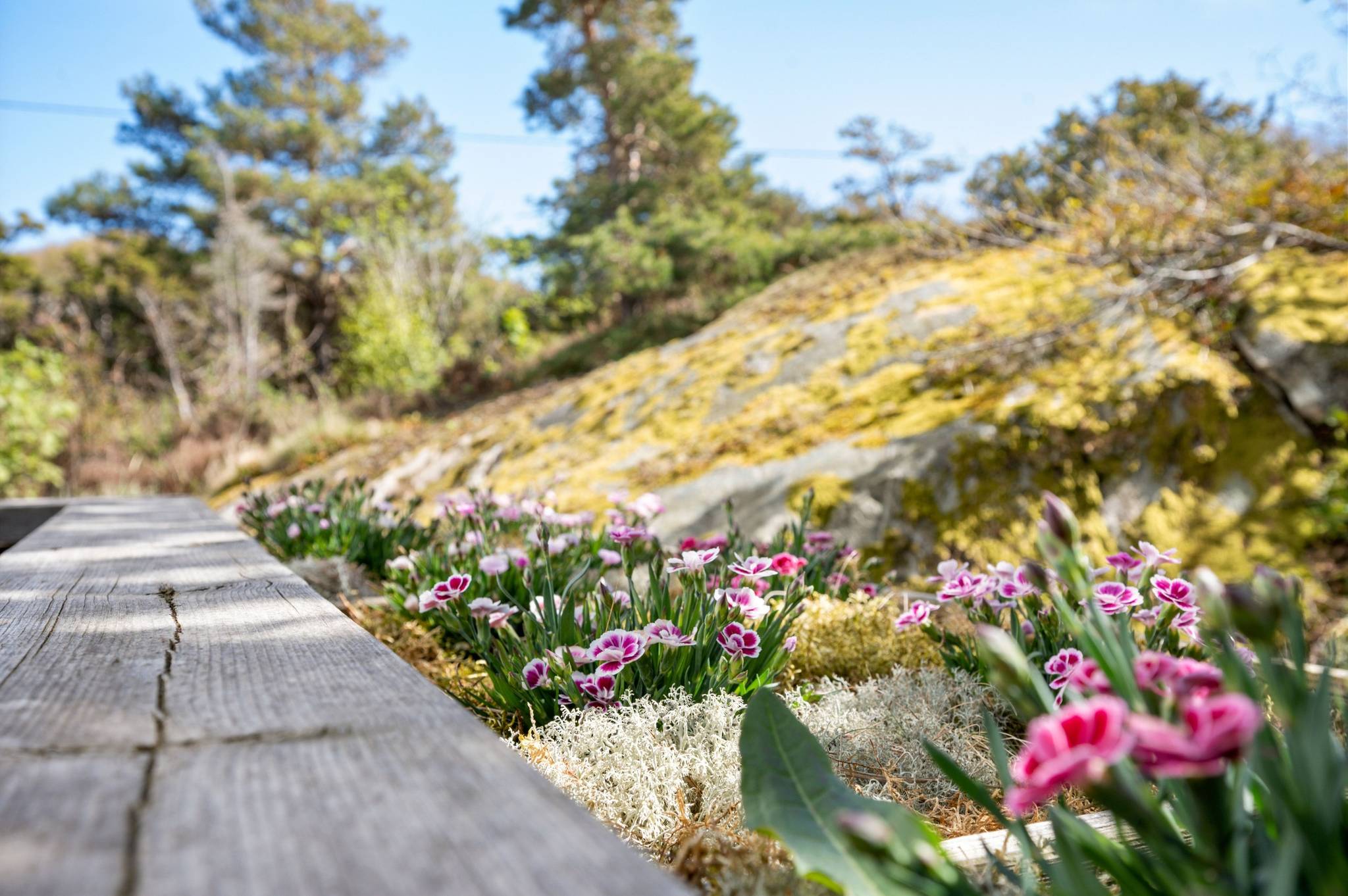 5 rum Vinterbonat fritidshus på Filjestadsvägen 14A Koster Strömstads kommun - bild 22