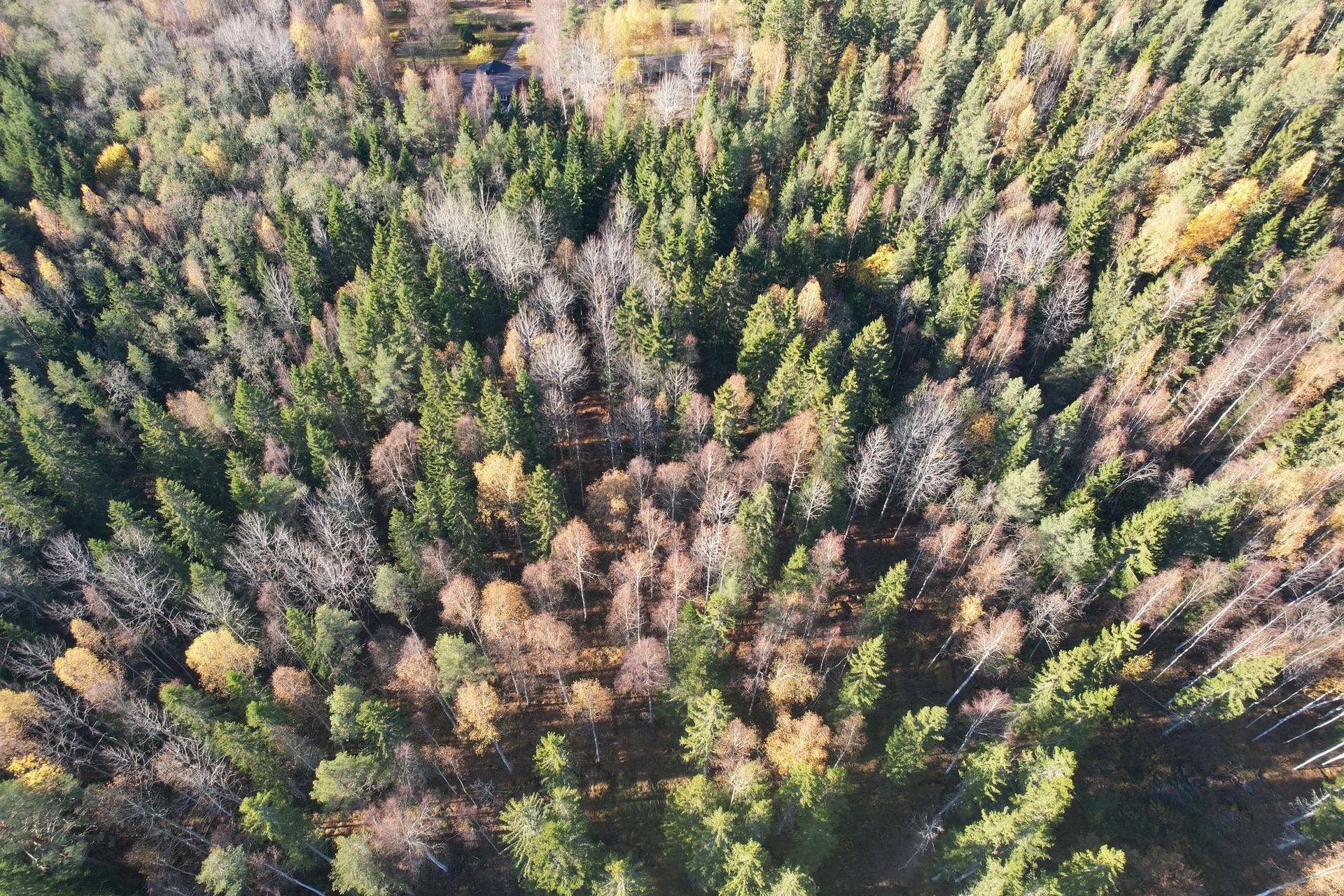 Gård med skogsbruk på Utanmyra Falu kommun - bild 5